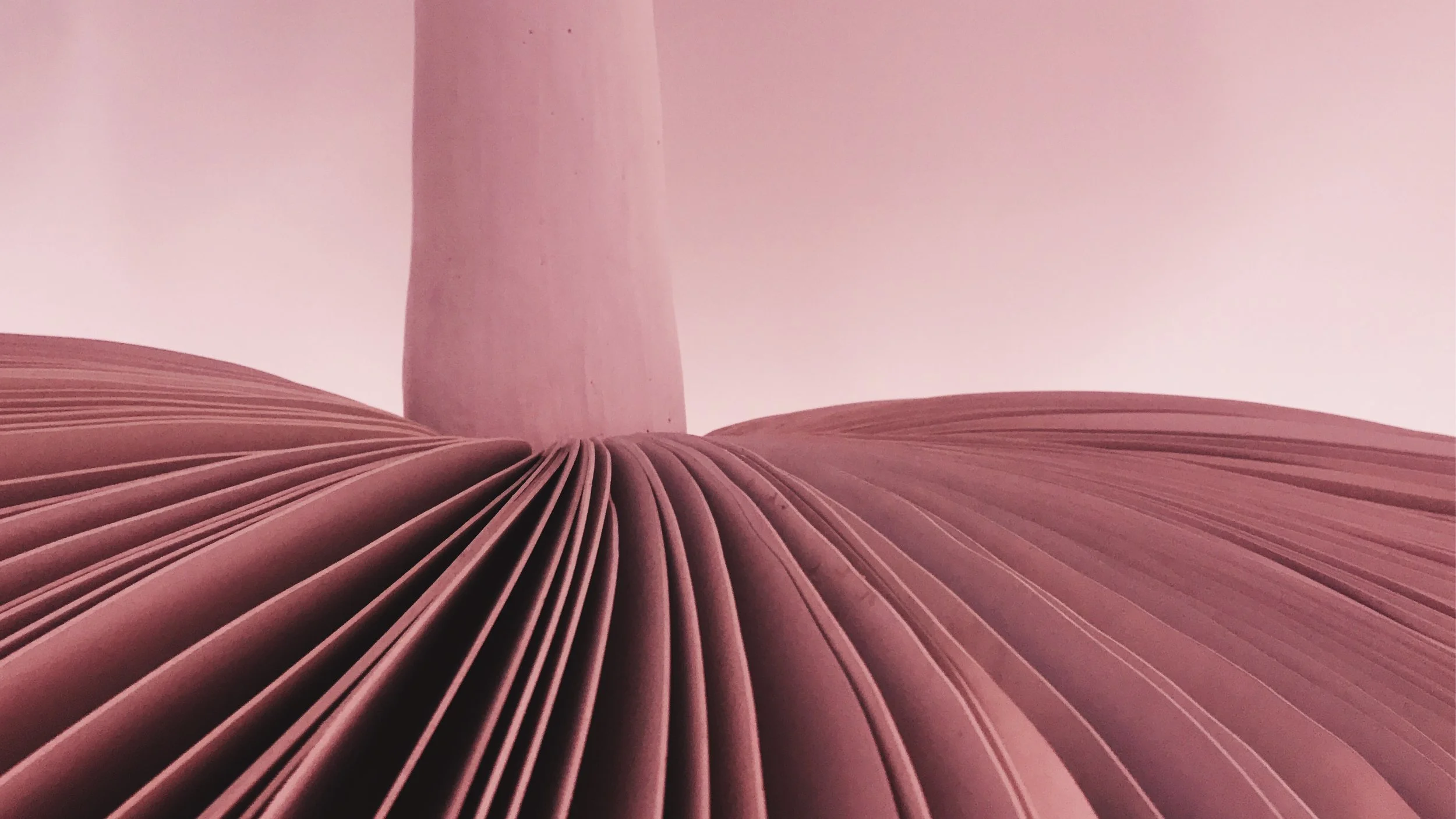 JPEG image-A4DCD98BD5EA-2.jpeg