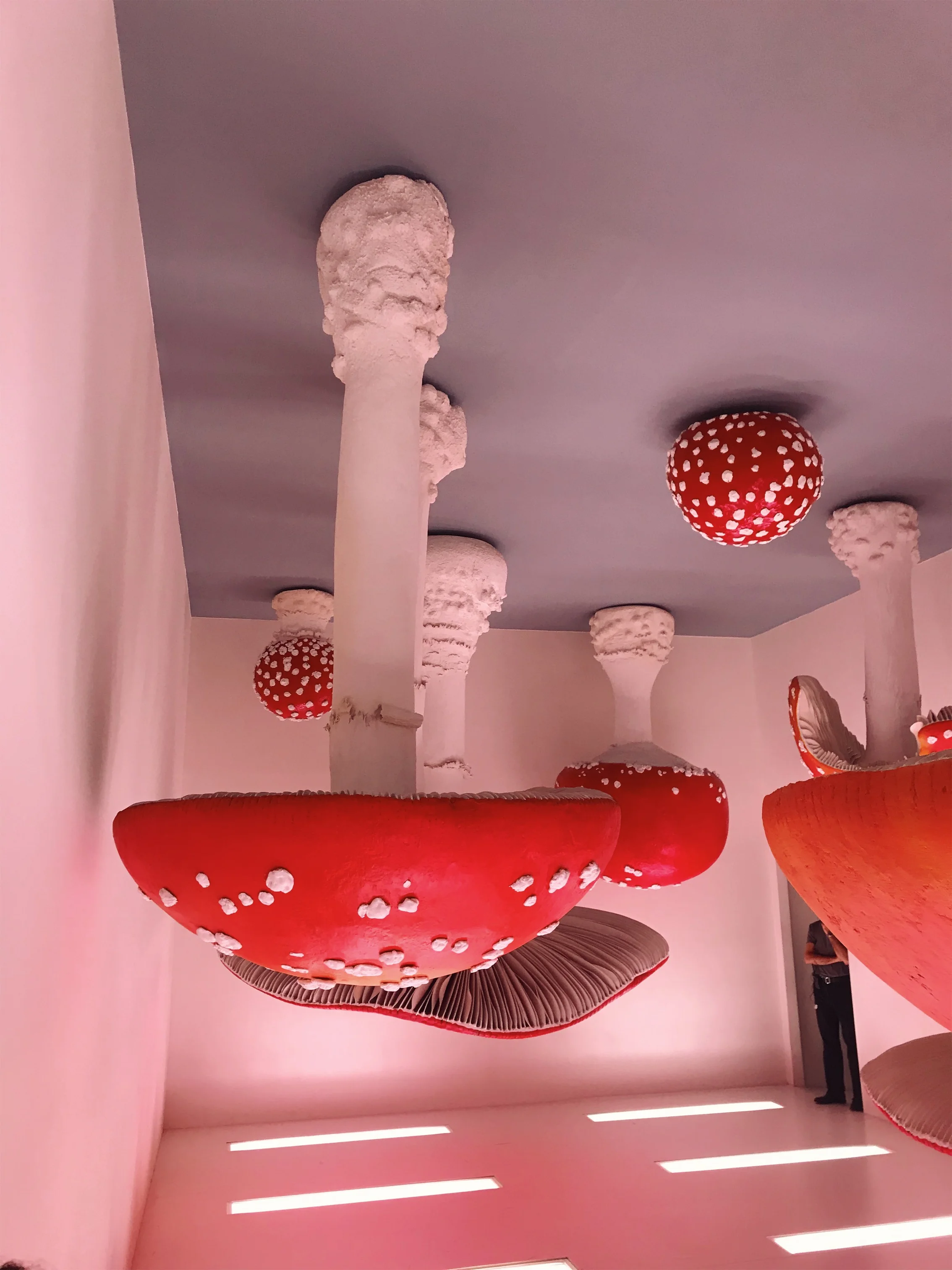 JPEG image-A4DCD98BD5EA-1.jpeg