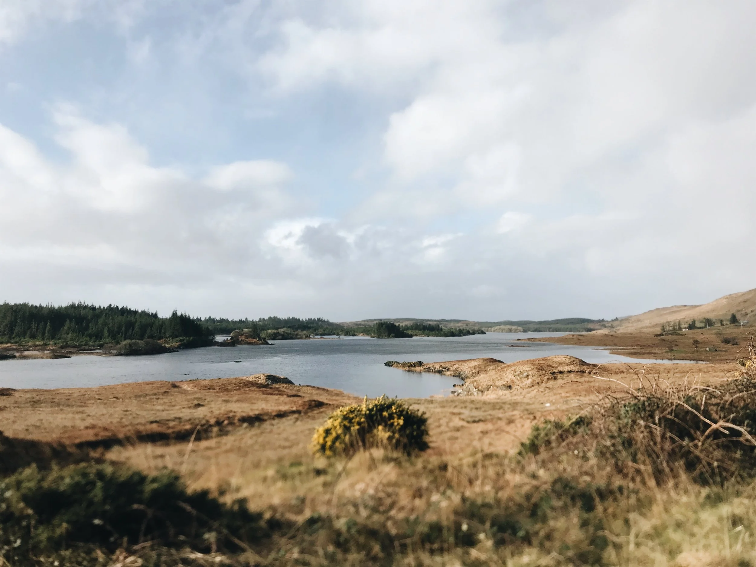 JPEG image-C85EAAFA9D92-20.jpeg