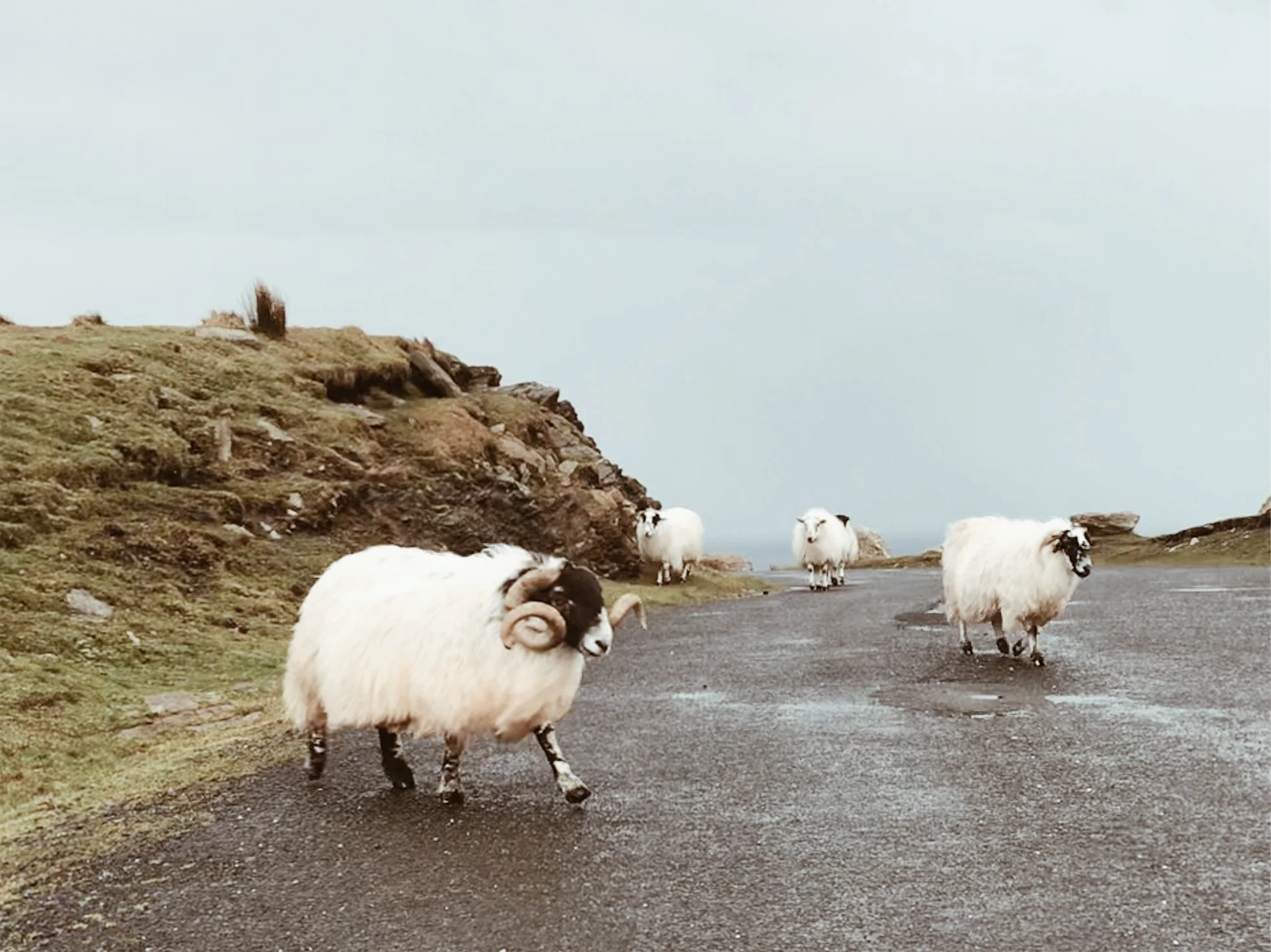 JPEG image-B98A78BC45D7-7.jpeg