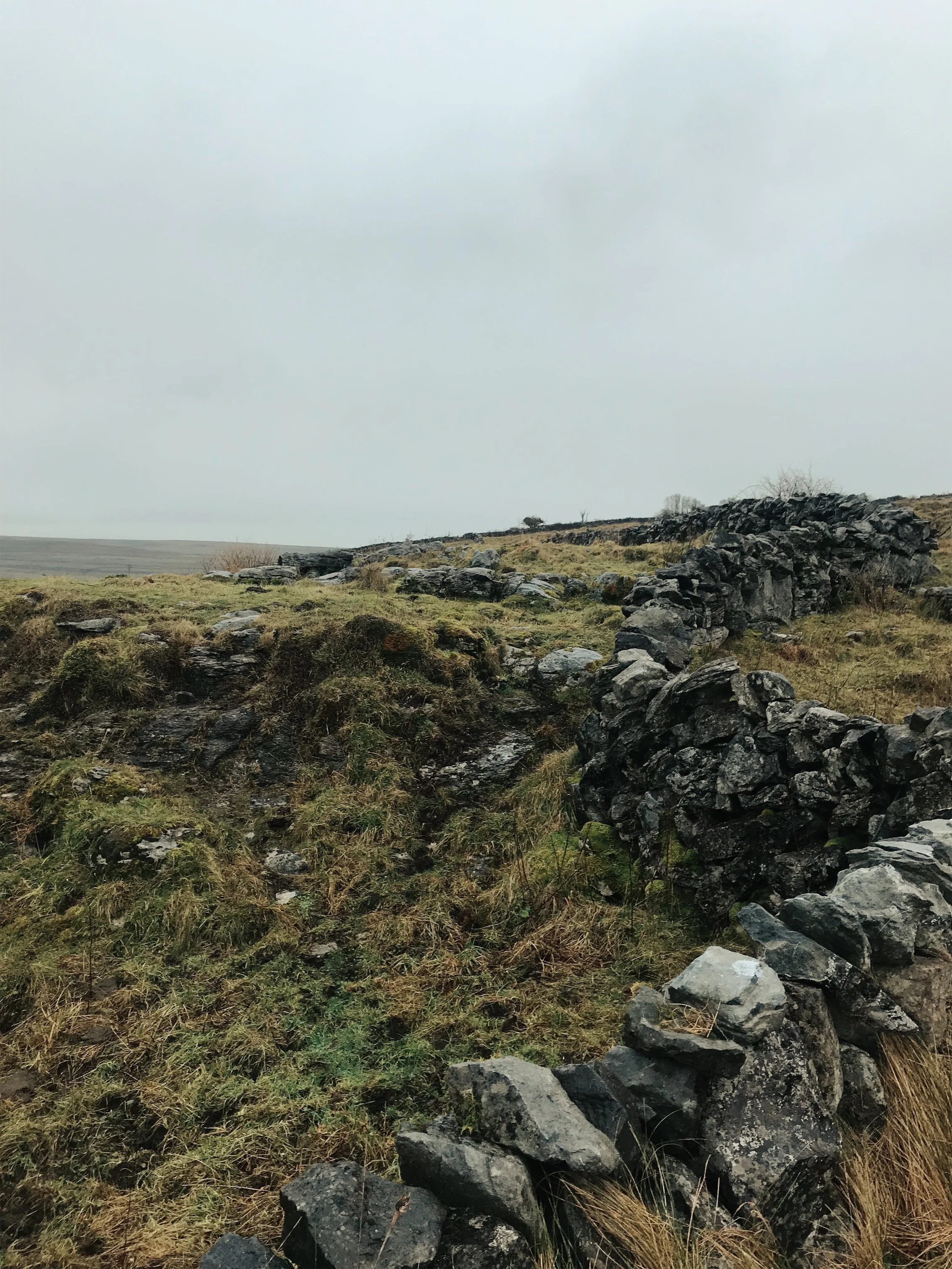 JPEG image-C85EAAFA9D92-12.jpeg