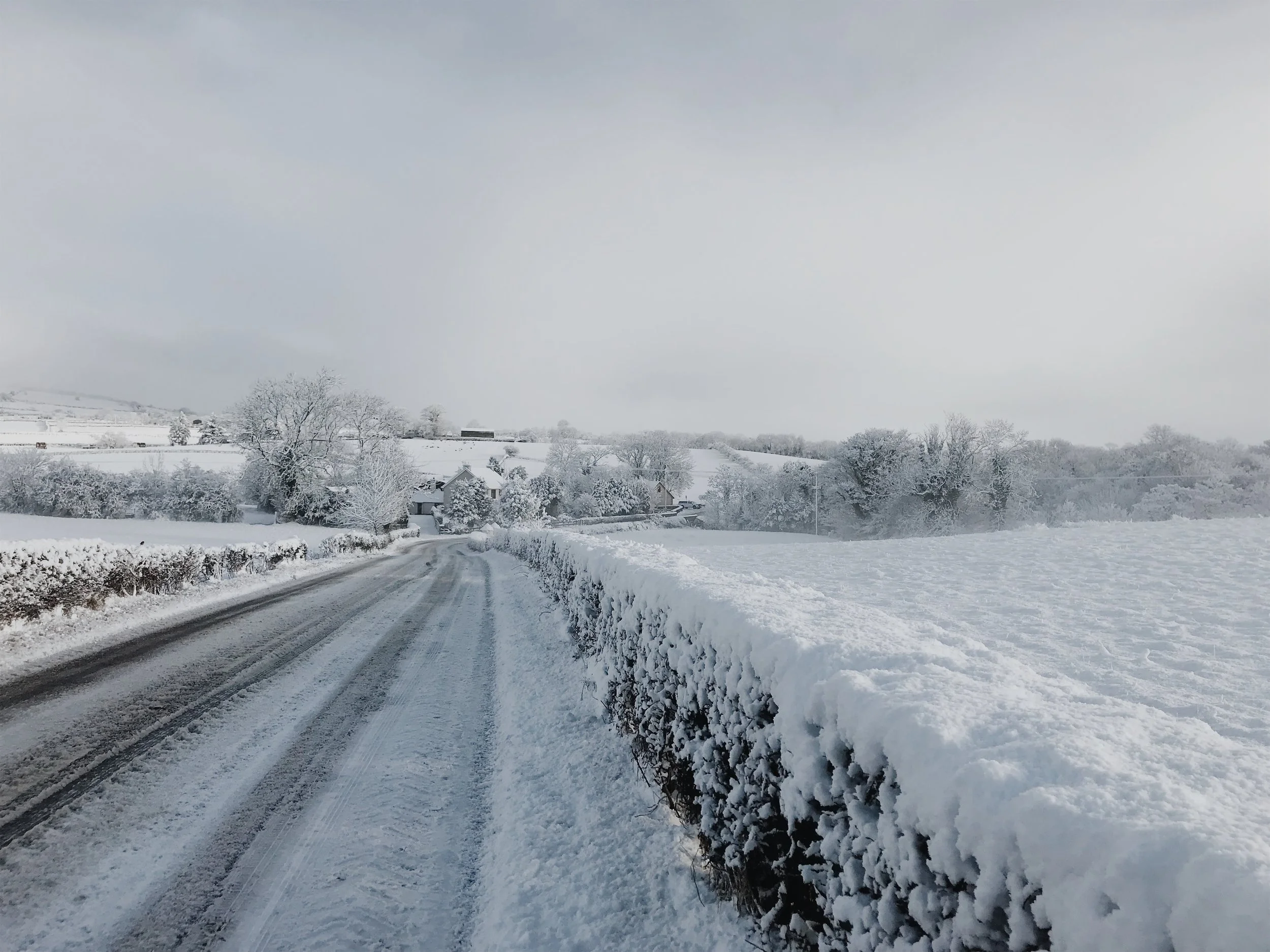 JPEG image-B98A78BC45D7-1.jpeg