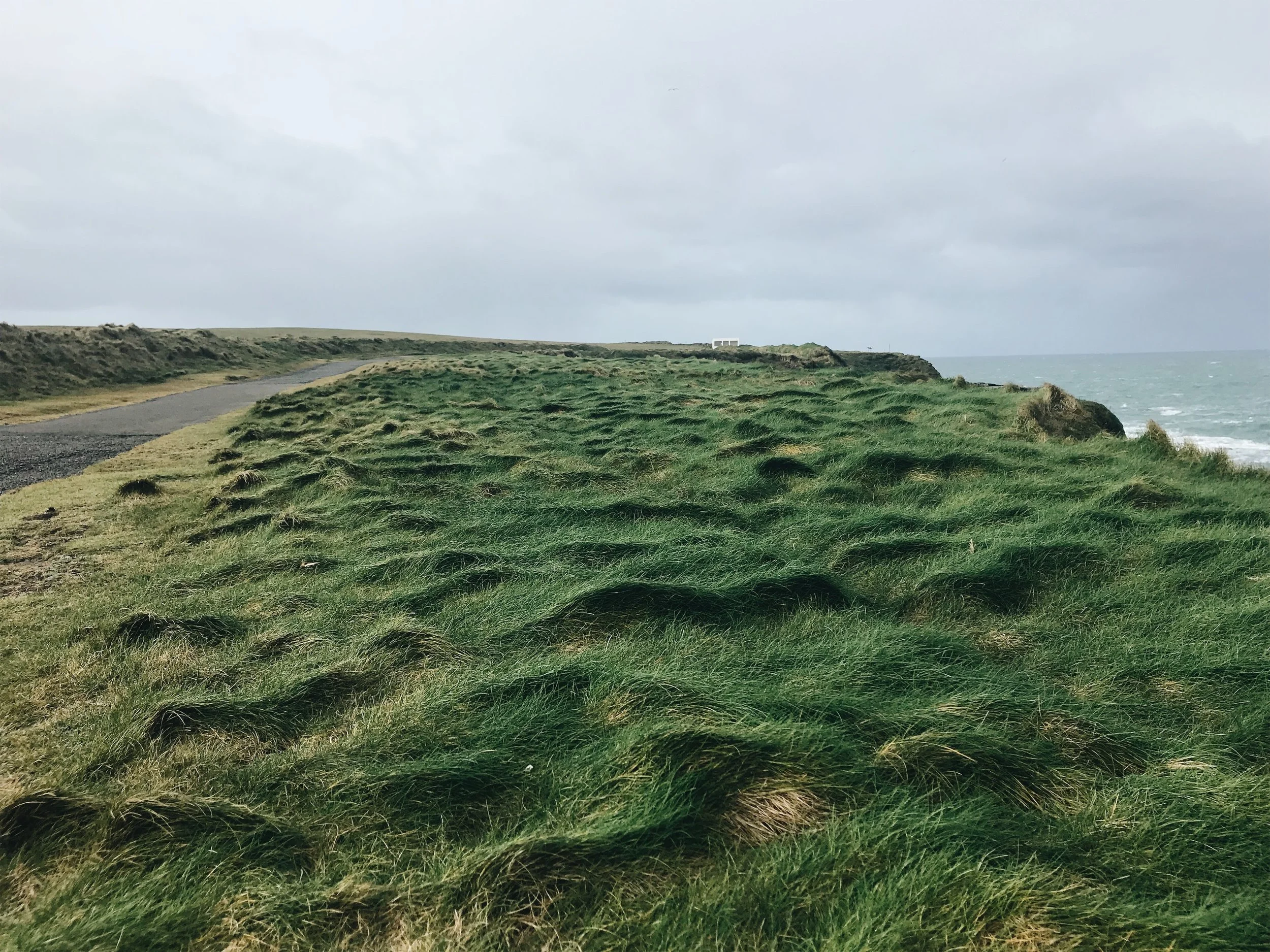 JPEG image-C85EAAFA9D92-4.jpeg