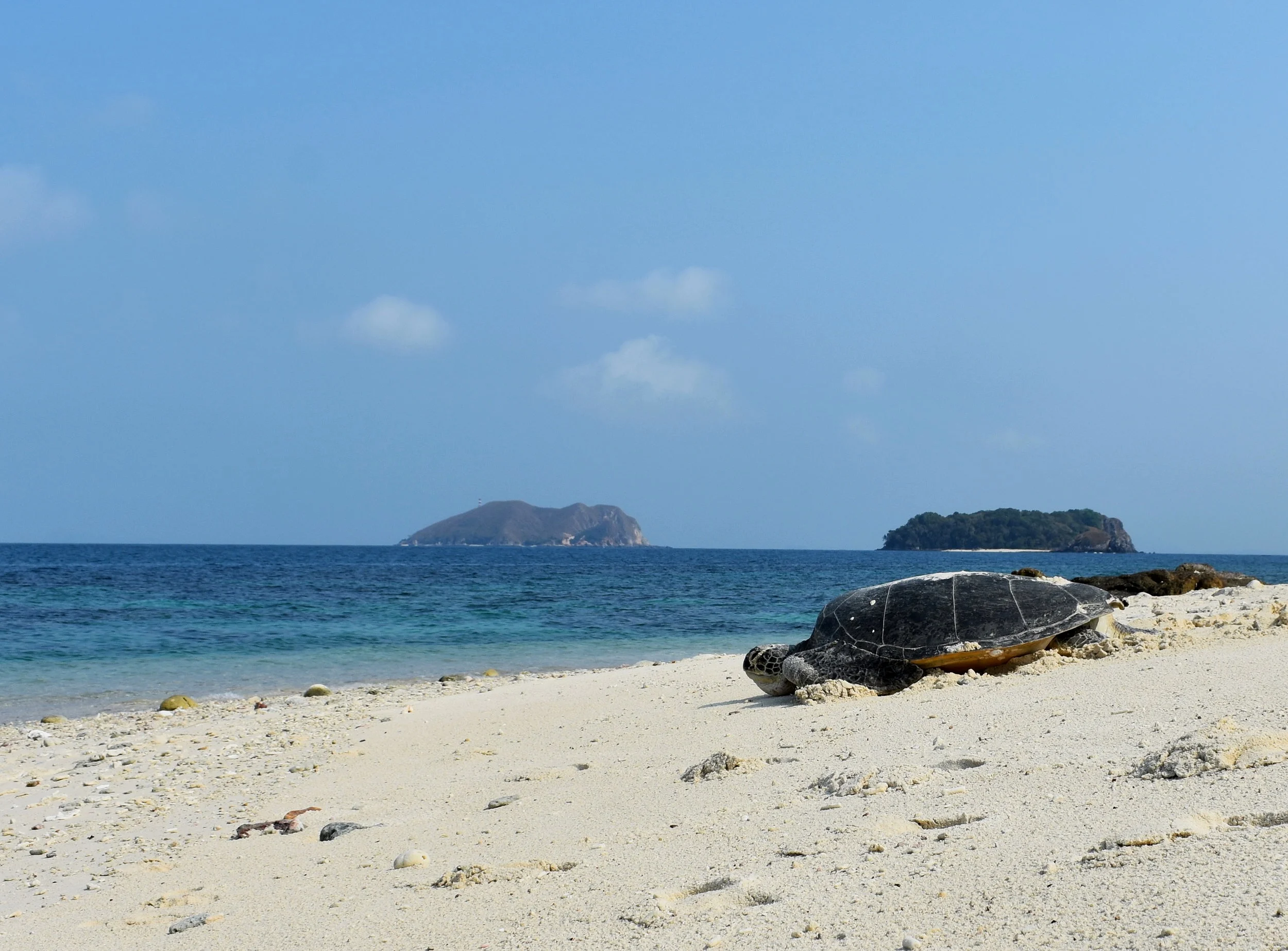 DSC_0927b.jpg