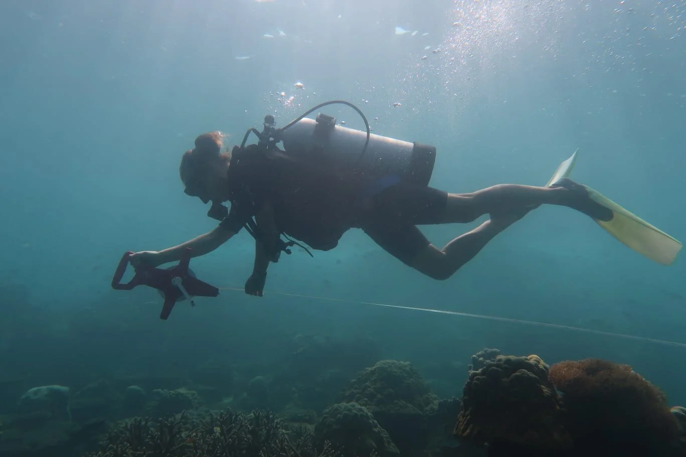 WhatsApp Image 2020-06-02 at 16.25.02.jpeg