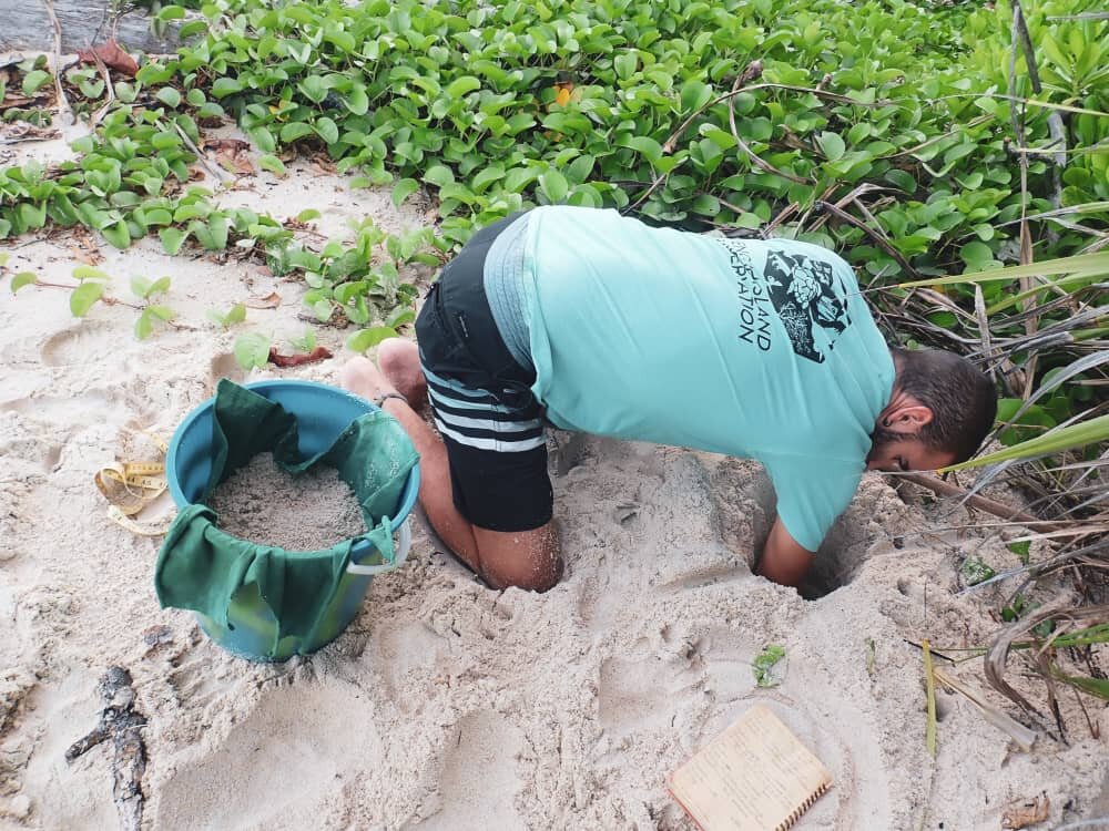 WhatsApp Image 2020-07-28 at 09.47.49 (1).jpeg