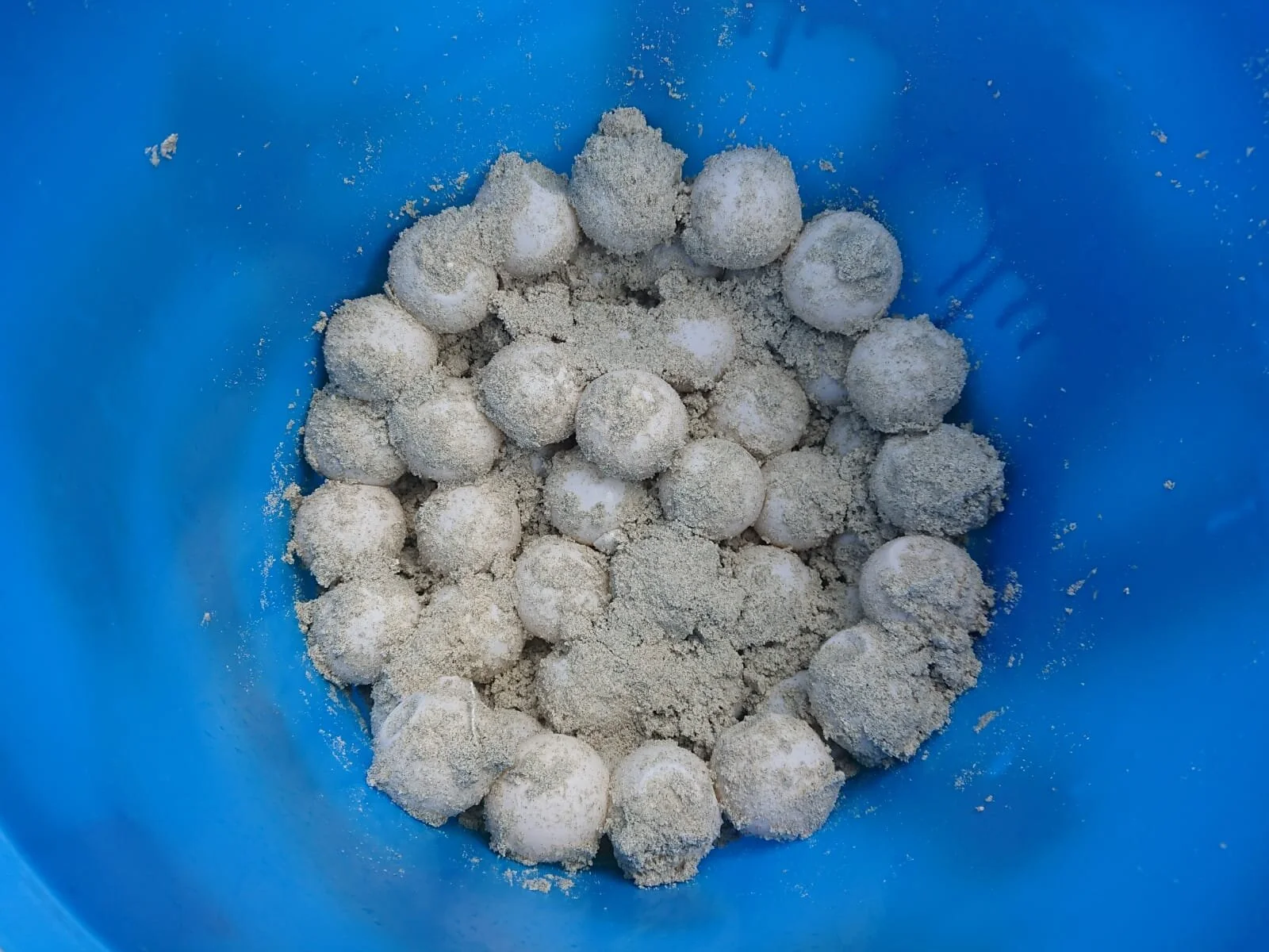 WhatsApp Image 2020-07-30 at 11.45.02.jpeg