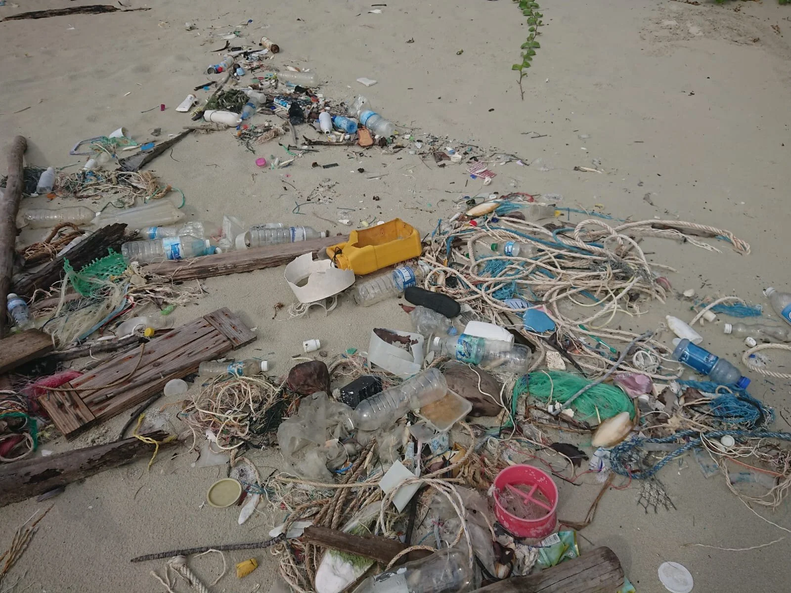 WhatsApp Image 2020-07-30 at 11.45.04.jpeg