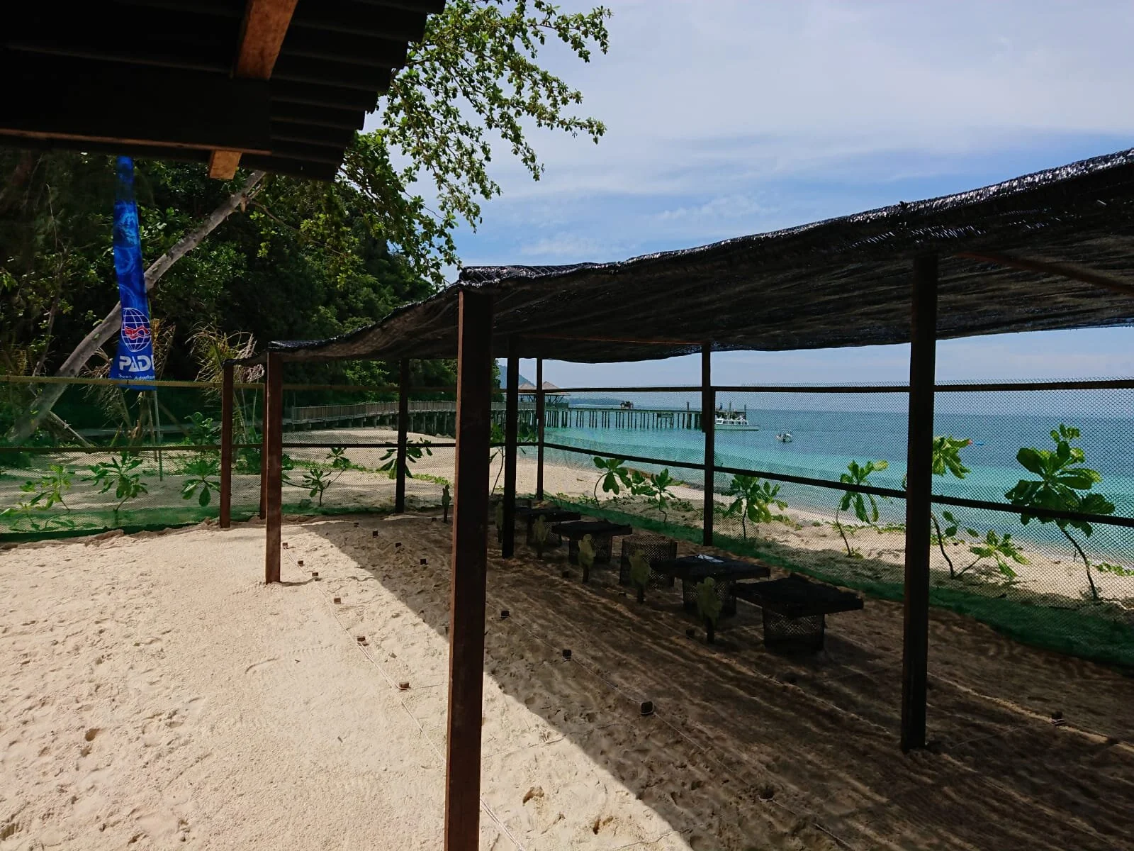 WhatsApp Image 2020-07-30 at 11.52.18.jpeg