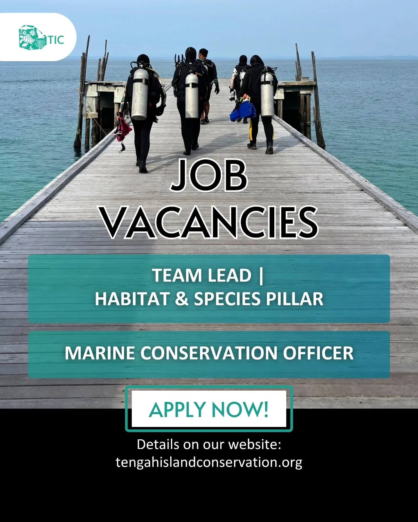 We are hiring!
2 positions available. Details on our website.

1
Position: Team Lead | Habitat &amp; Species Pillar
Location: Tengah Island, Mersing, Johor, Malaysia
Employment Type: Full-time

We are seeking a motivated and experienced Team Lead to 