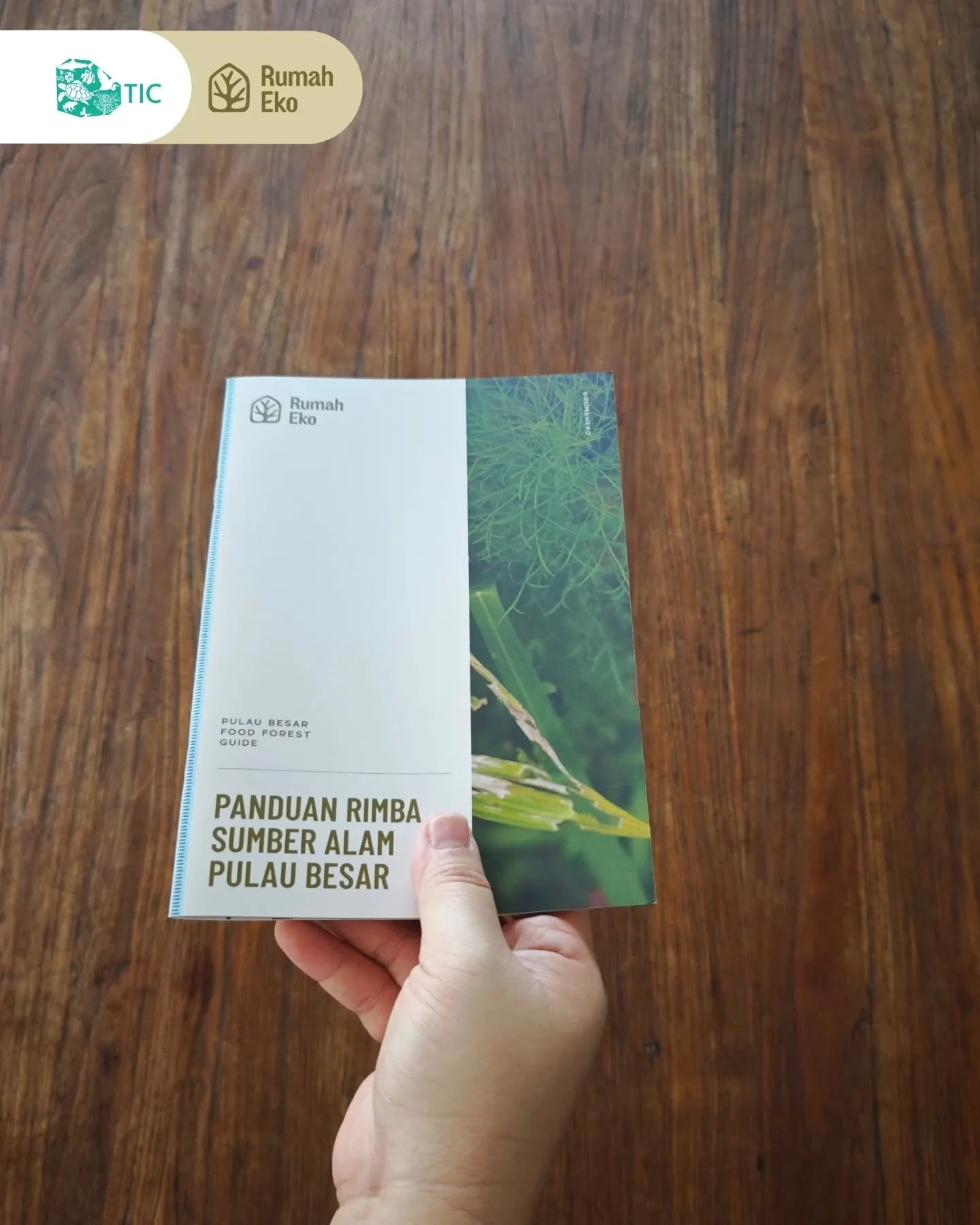 Happy National Environment Day!
Here is a gift from TIC to everyone.
A Food Forest Guide Book!

Agroforestry is a joyful opportunity to connect with nature, enhance everyone's health and at the same time promote food security.

We'd like to share som