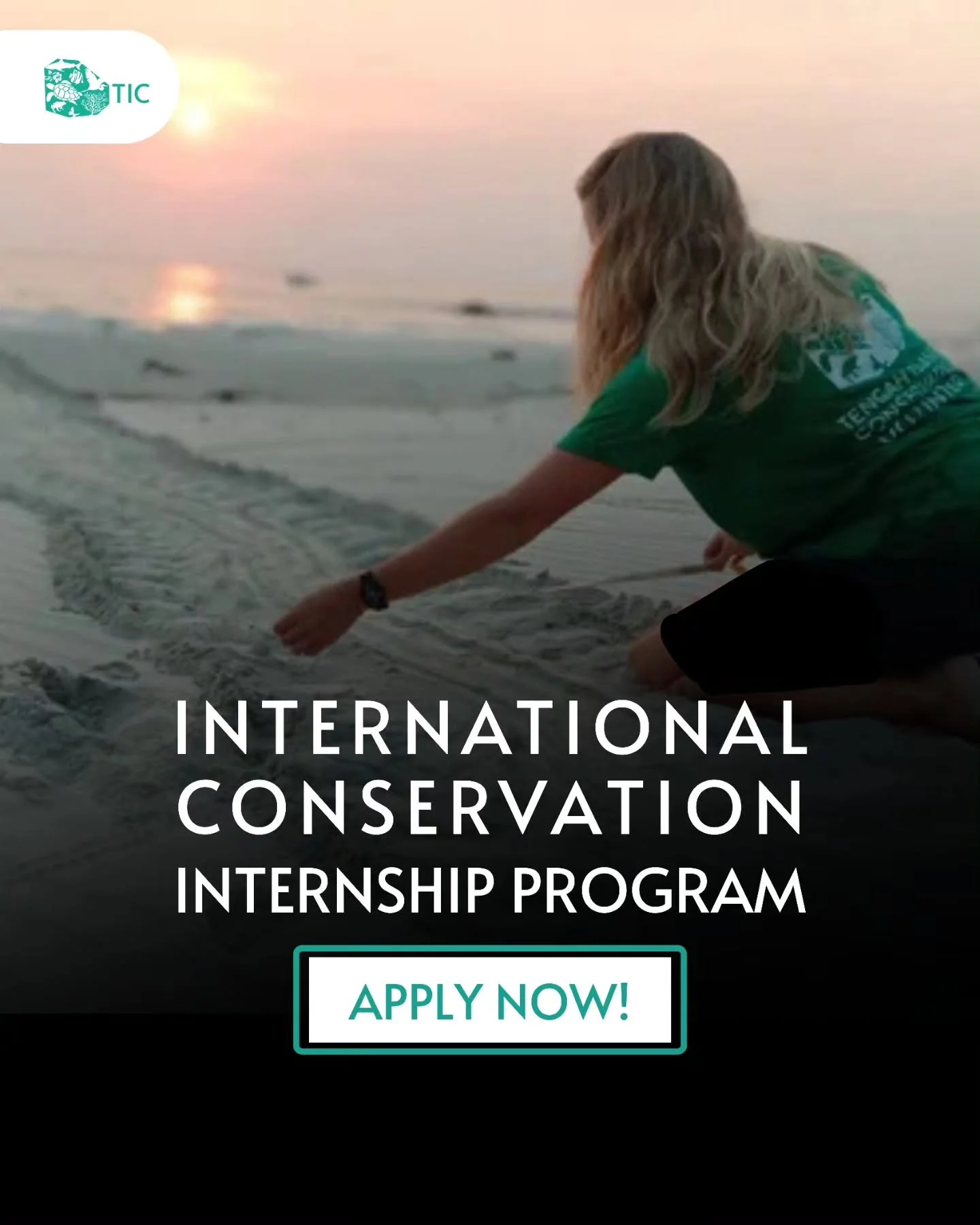 Learn. Protect. Restore. Become part of conservation efforts in the Mersing Islands.

The&nbsp;TIC INTERNATIONAL CONSERVATION INTERNSHIP PROGRAM&nbsp;offers a meaningful, immersive conservation experience for individuals passionate about marine life,