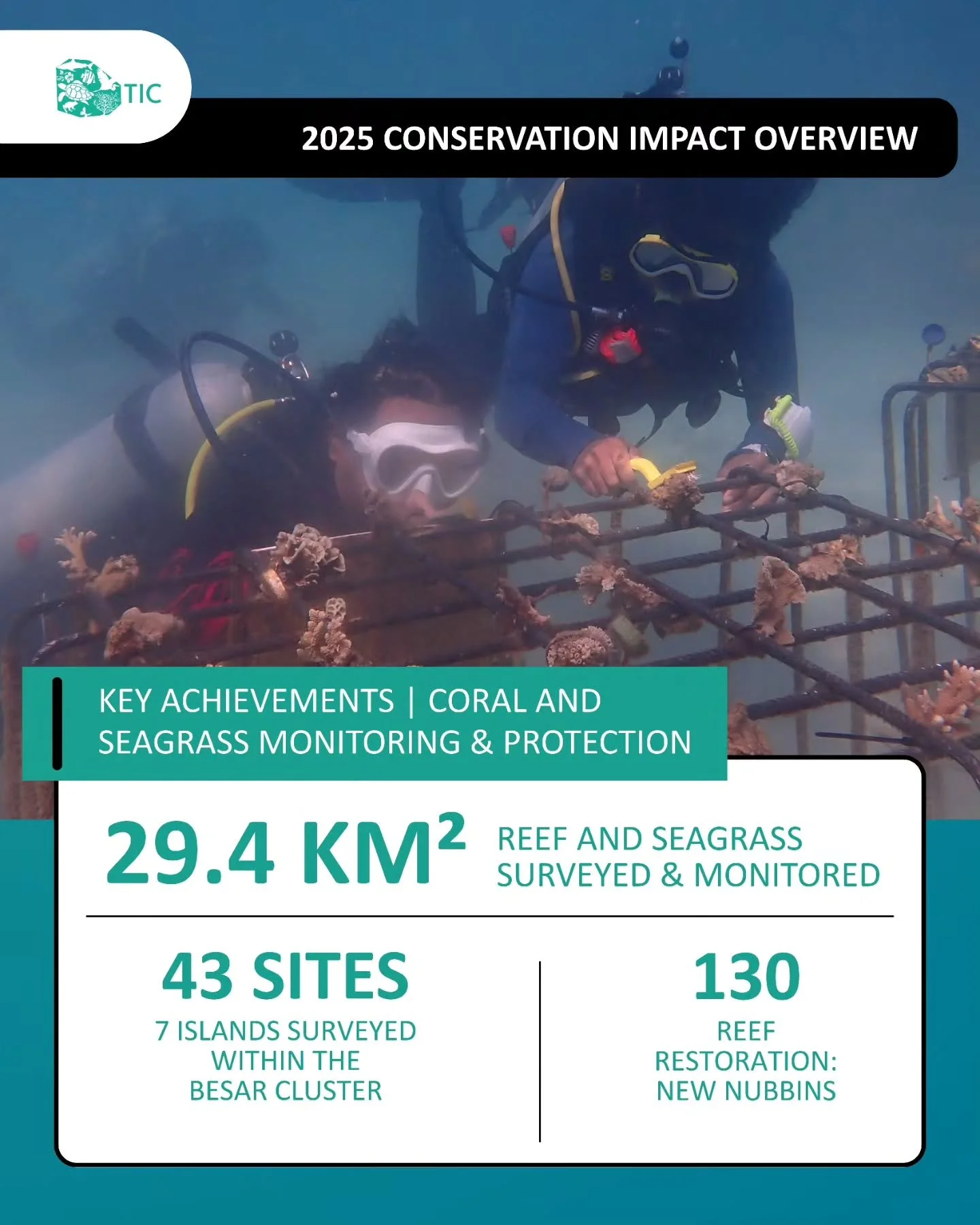 Below the waves of the Besar Island Cluster lies a world teeming with life &mdash; one that TIC&rsquo;s conservation team works tirelessly to understand and protect.

In 2025, we surveyed 29.4 km&sup2; of coral and seagrass habitats, documenting chan