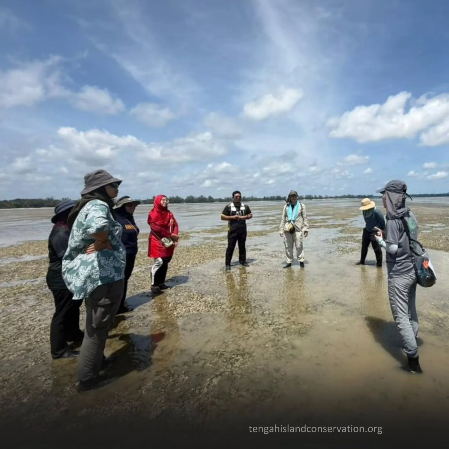 &ldquo;For all its scale, Johor&rsquo;s seagrass landscape does not guarantee security. In some areas, local communities speak quietly of meadows that have contracted over the past decade.&rdquo; &mdash;Malay Mail, 1 March 2026

Despite its massive s