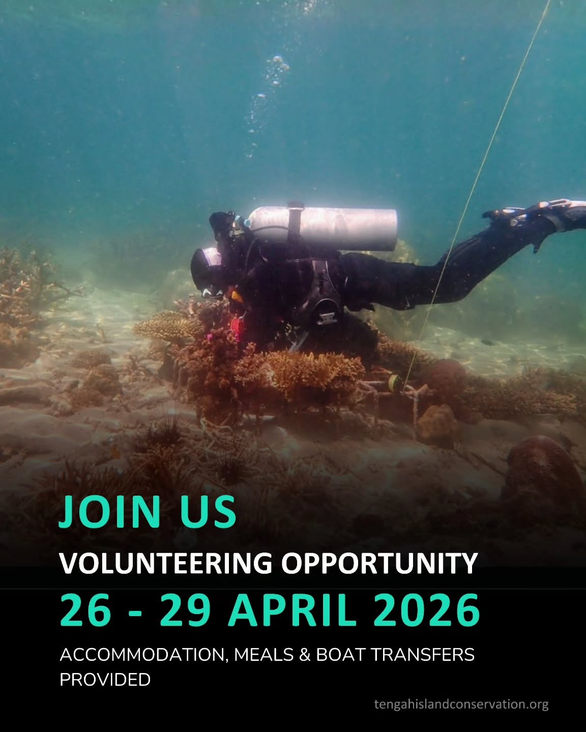 TIC is recruiting 2 EcoDiver volunteers for the upcoming Reef Check Survey at Mersing Island!

Date: 26 &ndash; 29 April
Location: Mersing

Help protect Malaysia&rsquo;s coral reefs and gain hands-on experience in marine conservation.

What's Include