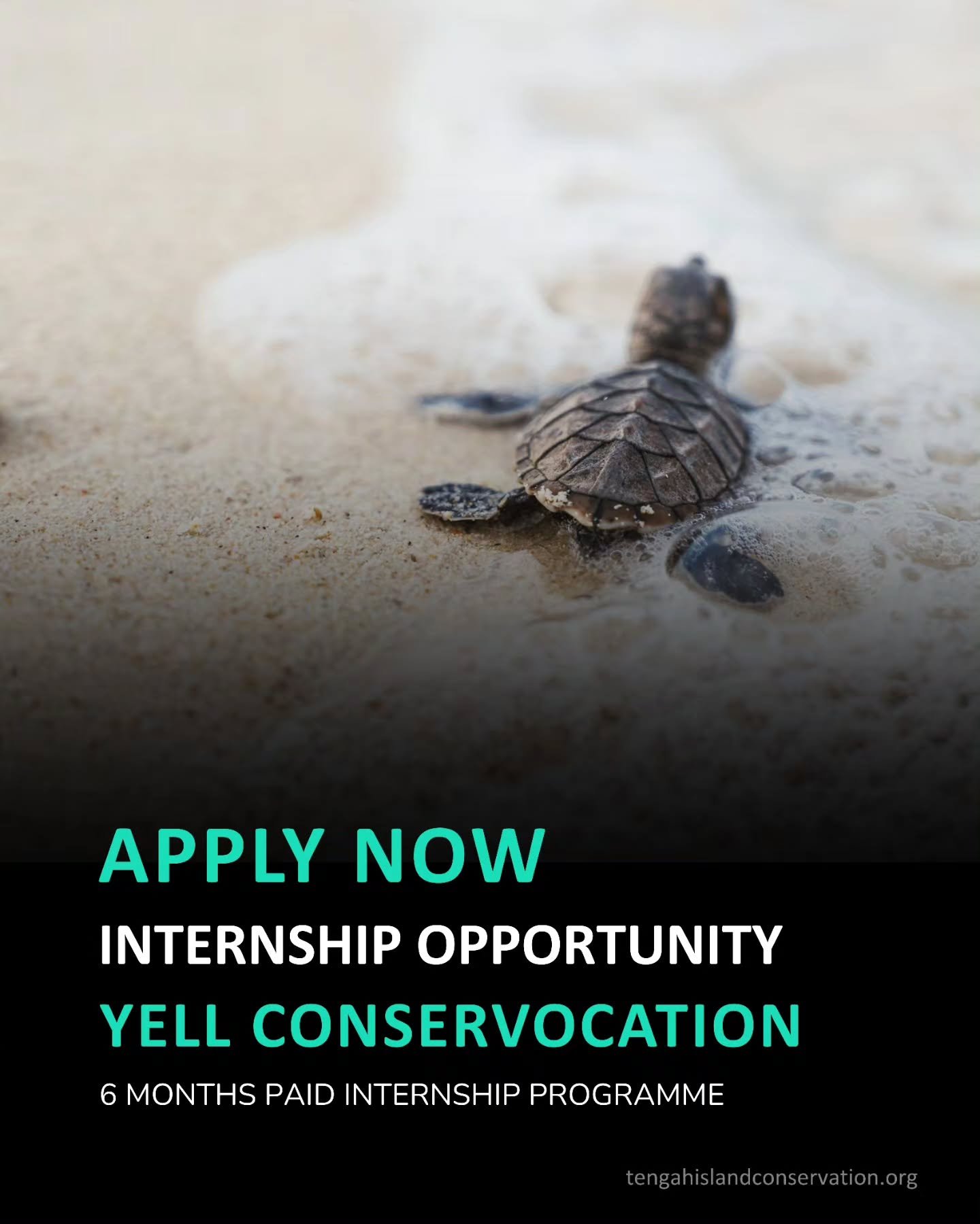 The @marikitayell YELL Conservocation Programme 2026 is now OPEN

Take on a 6-Month PAID Internship with Malaysia&rsquo;s environmental organisations to discover your next career pathway.

Why join YELL Conservocation?
✅ Hands-on experience: Dive int