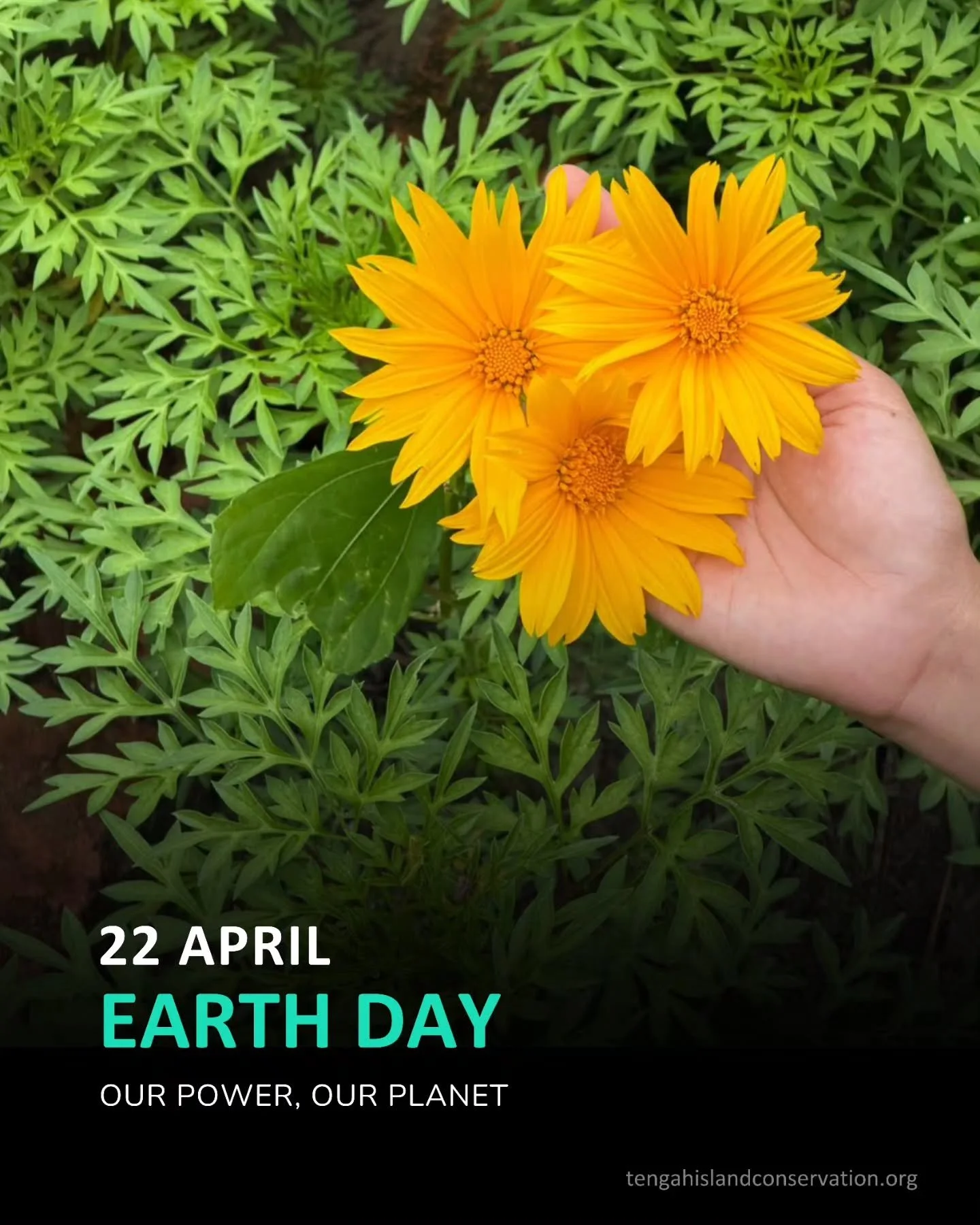 Growing a greener future at Pulau Besar, Mersing, Johor.

Our Laman Eko serves as a dedicated community garden where sustainability meets action.

By utilizing the RIDAN food composter, we transform the island&rsquo;s food waste into nutrient-rich co