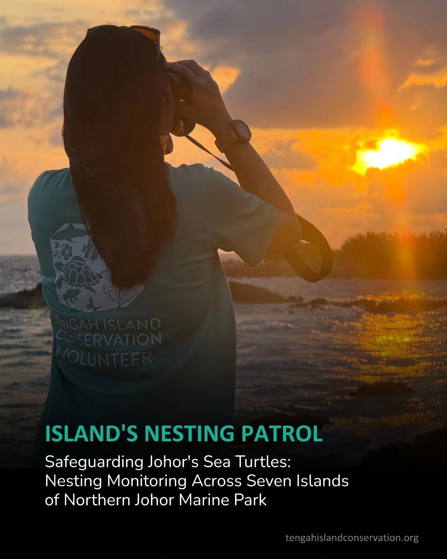 Turtle nesting monitoring isn&rsquo;t glamorous &mdash; but it saves lives.

Show your support by donating to our Turtle conservation initiatives:

https://www.tengahislandconservation.org/donate

Link in bio.
