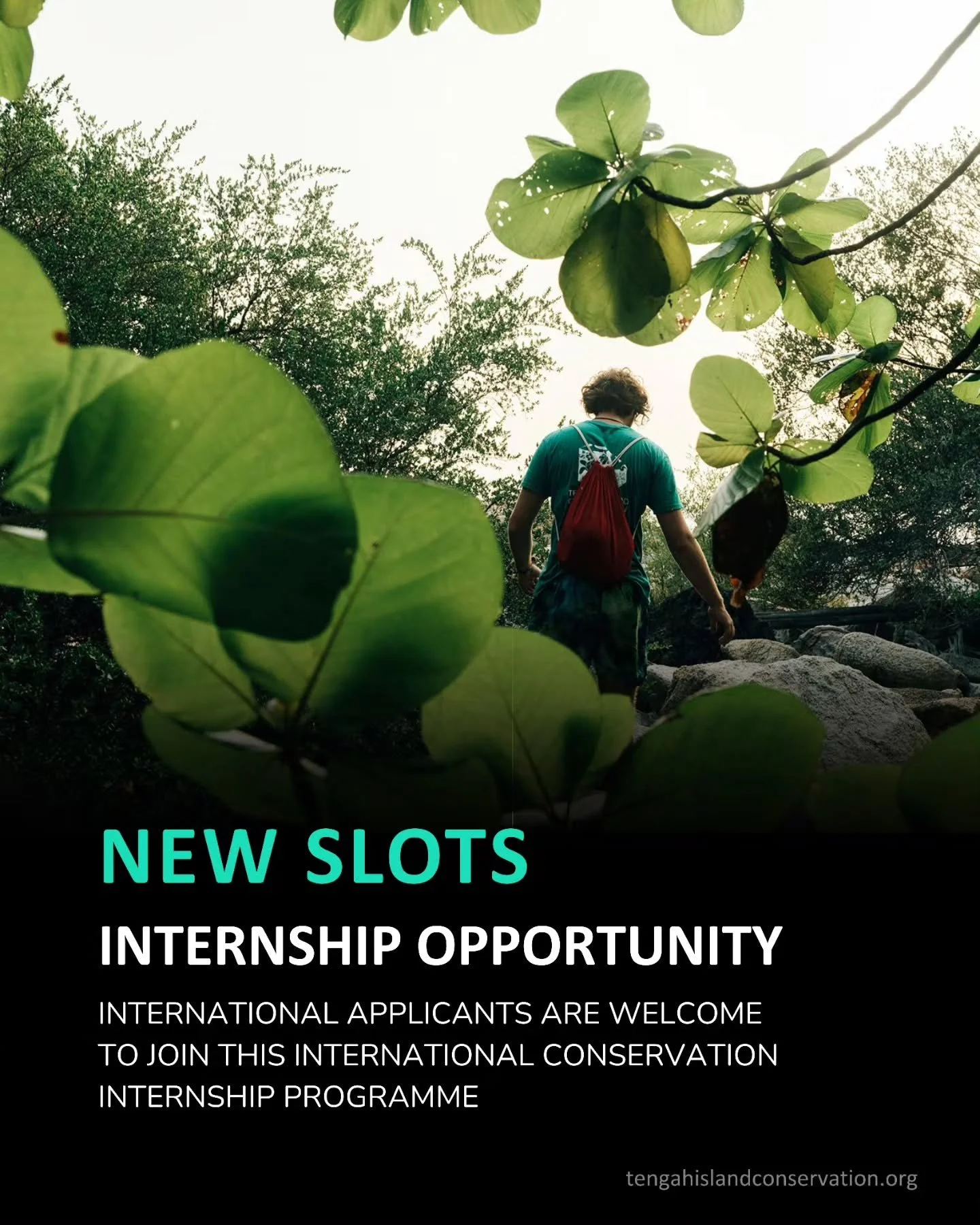 Learn. Protect. Restore. Become part of conservation efforts in the Mersing Islands.

The&nbsp;TIC INTERNATIONAL CONSERVATION INTERNSHIP PROGRAMME&nbsp;offers a meaningful, immersive conservation experience for individuals passionate about marine lif