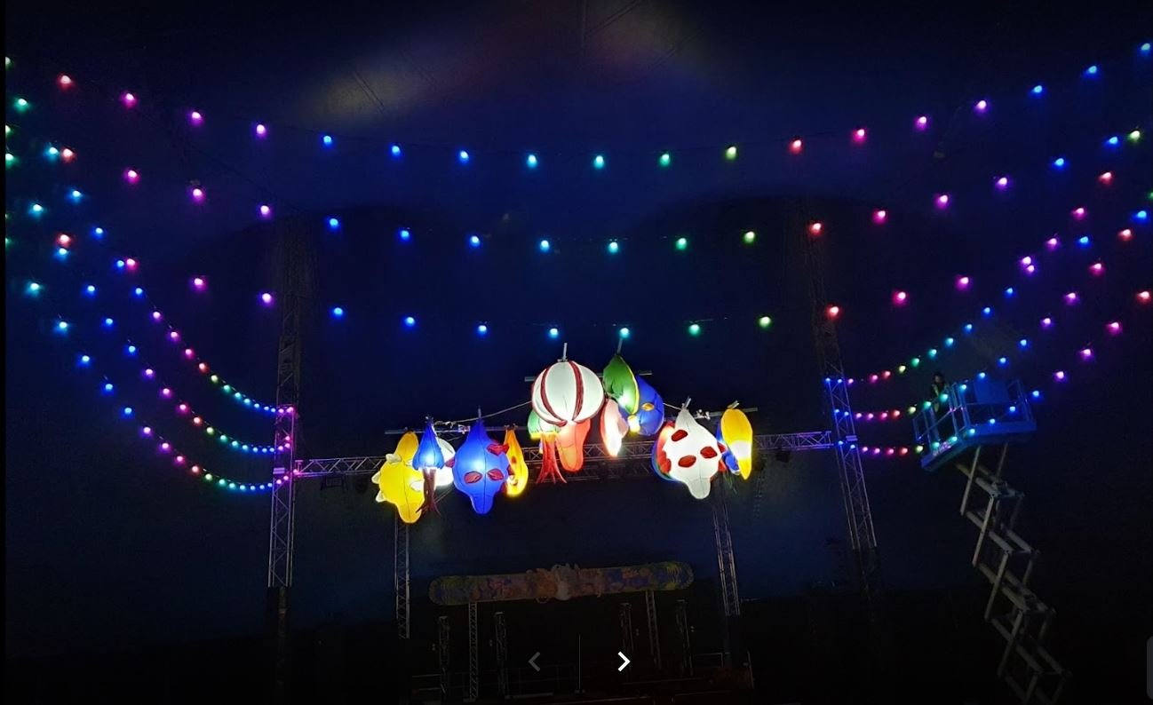 RGB LED Festoon lights supplied at Wanderer Festival 2022