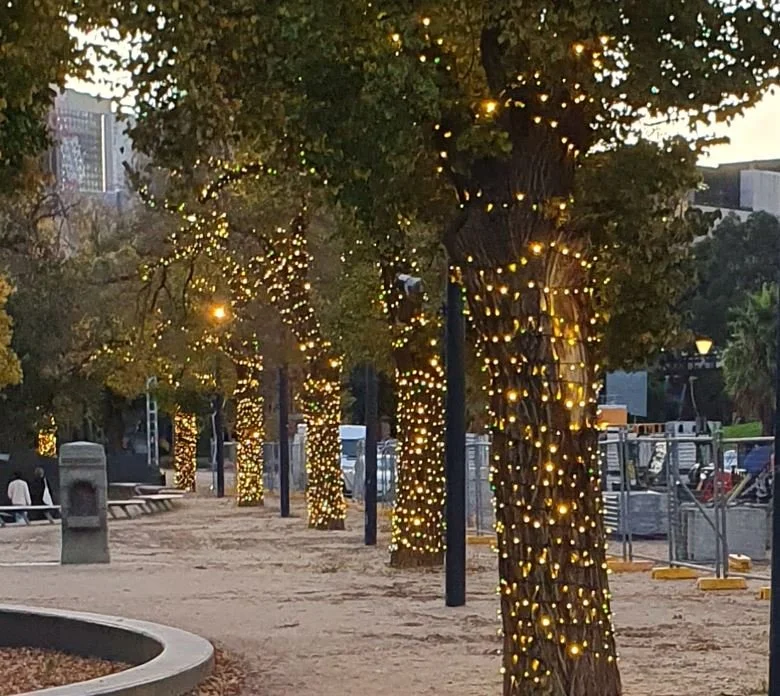 Fairy Lights in trees Rising Festival 2023
