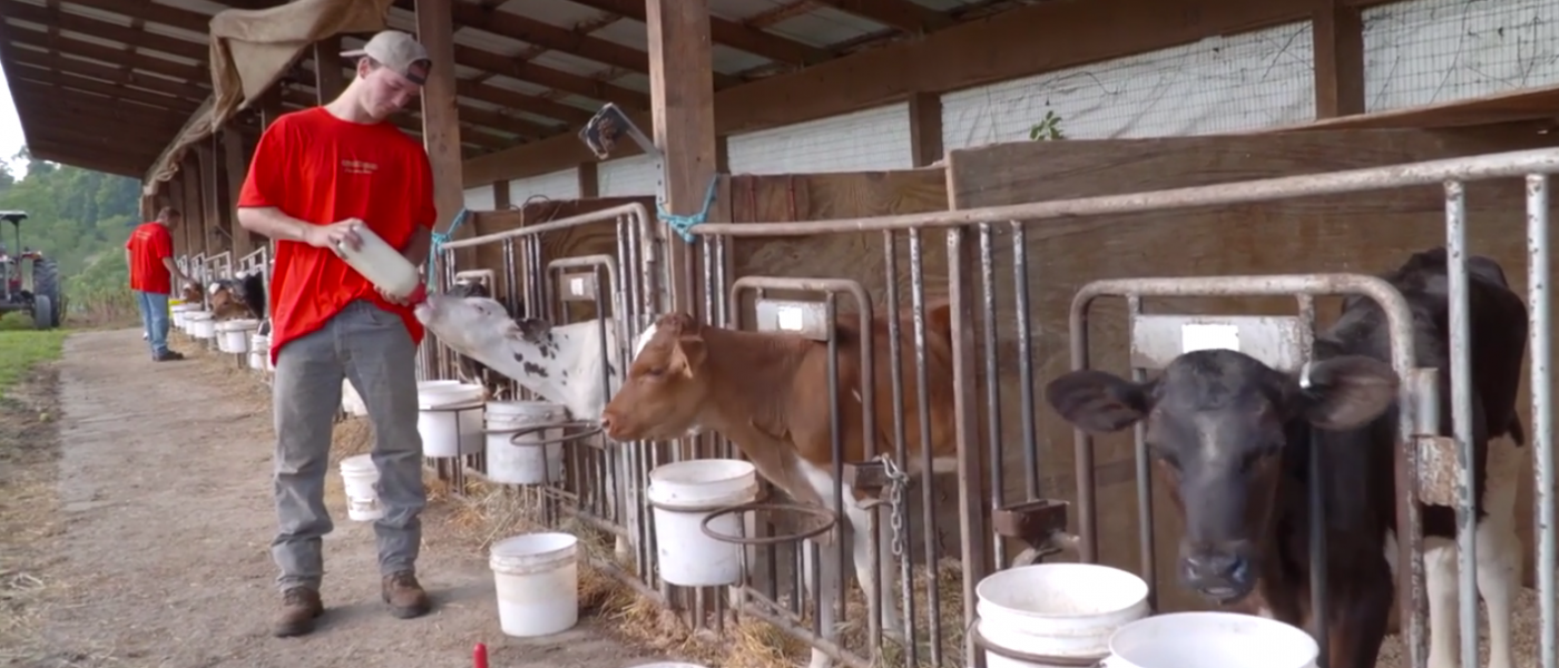 Springhouse Market & Dairy in Washington County, PA