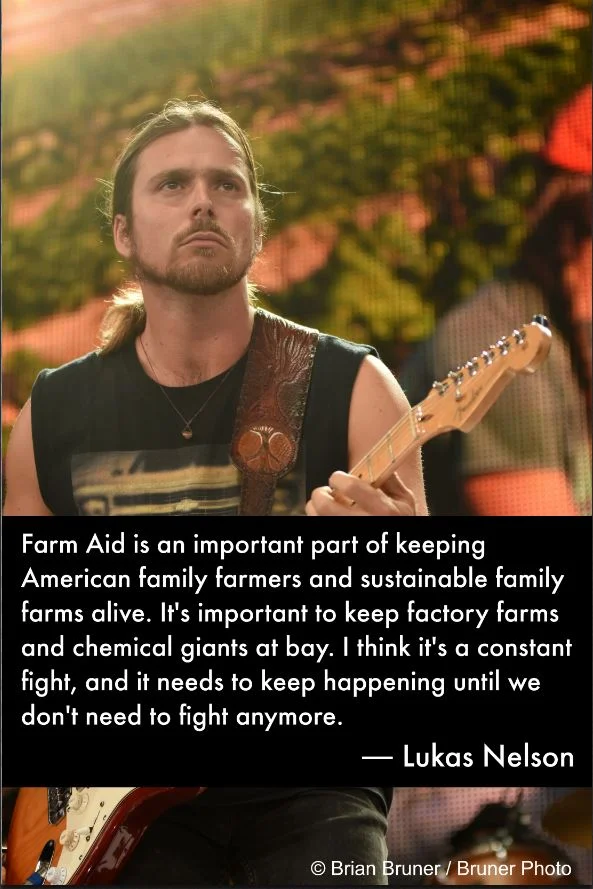 LukasNelsonQuote-wednesday_wisdom.jpg