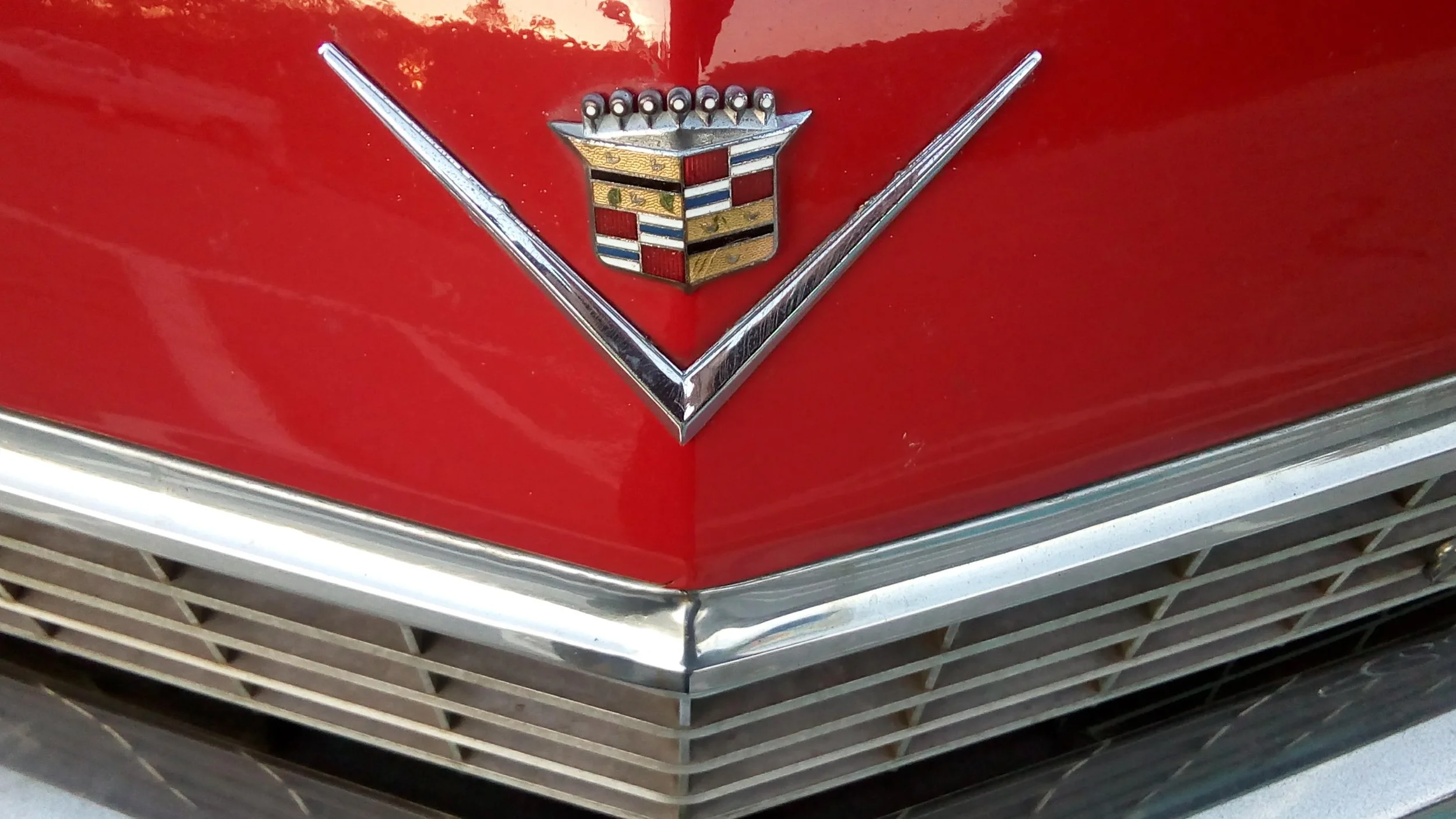 cadi.jpg