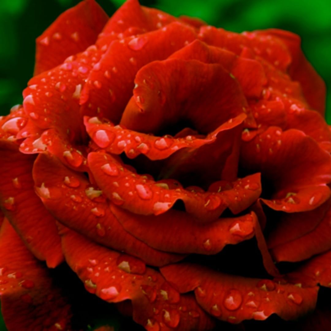 72dca287d8fe55c1cd8a49af30c30da6.jpg
