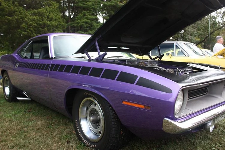 a4daf3c8a6562731e3266324cea0e9aa - Copy.jpg