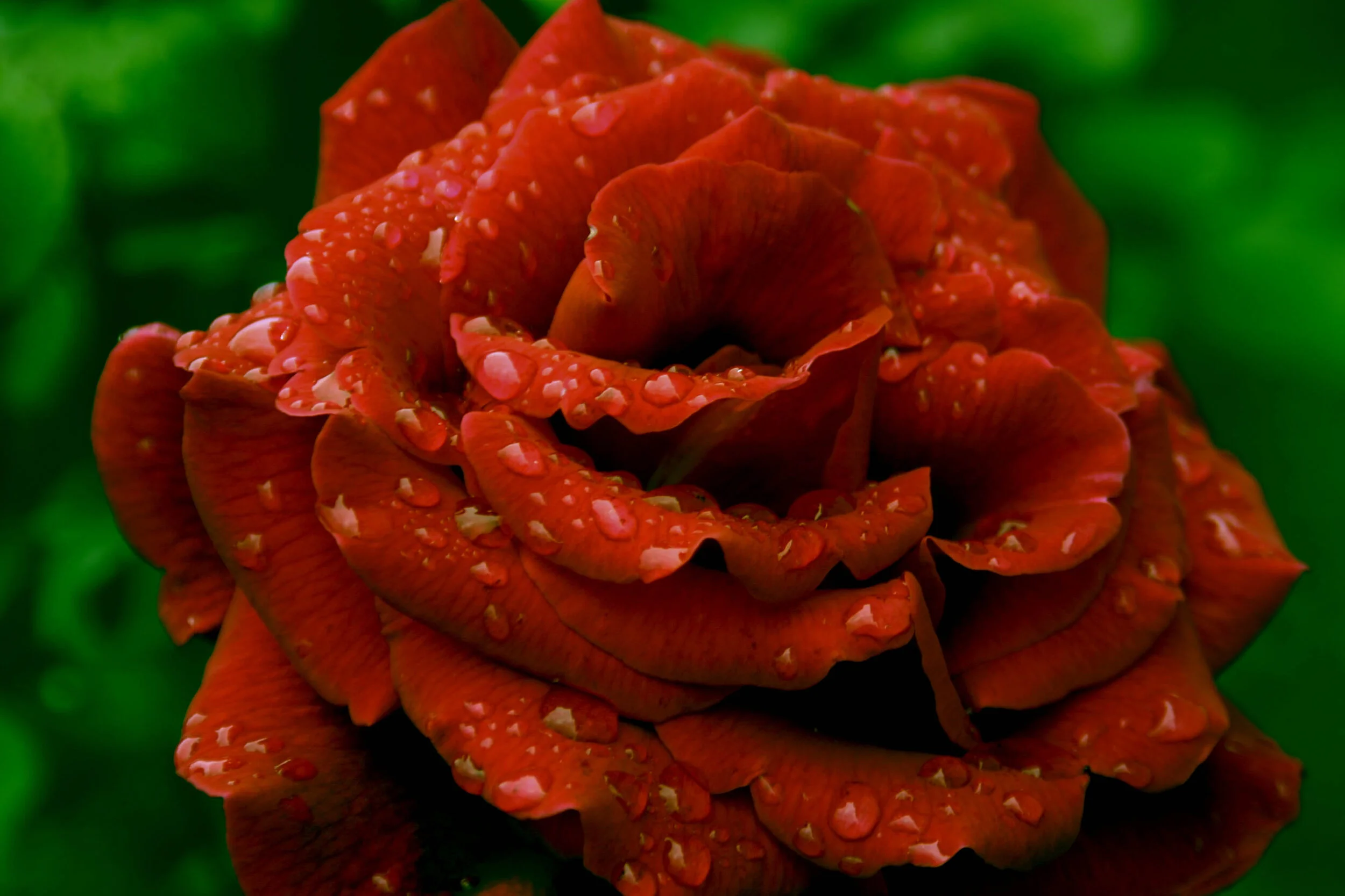 Love reign o're me...