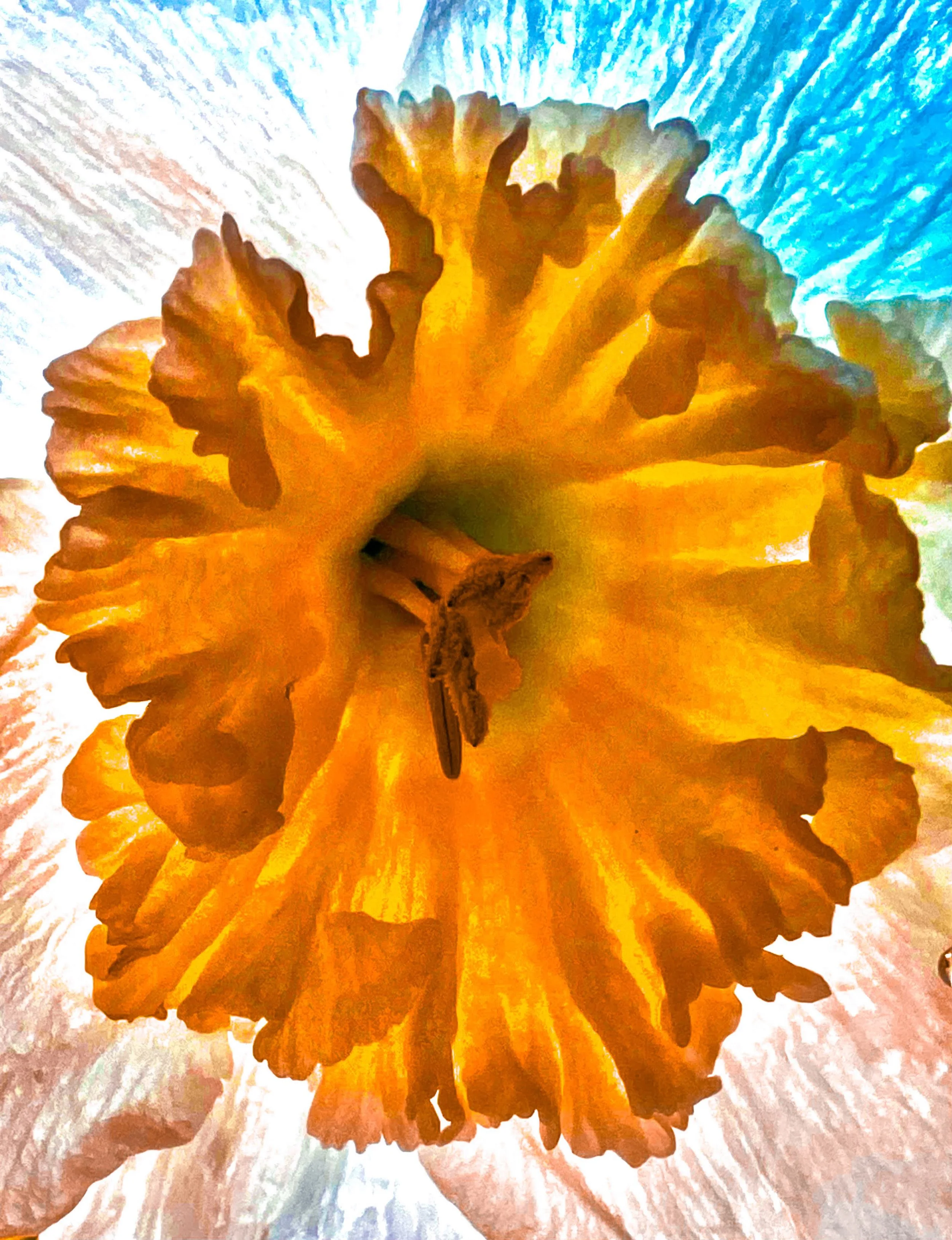 flower mix2.jpg