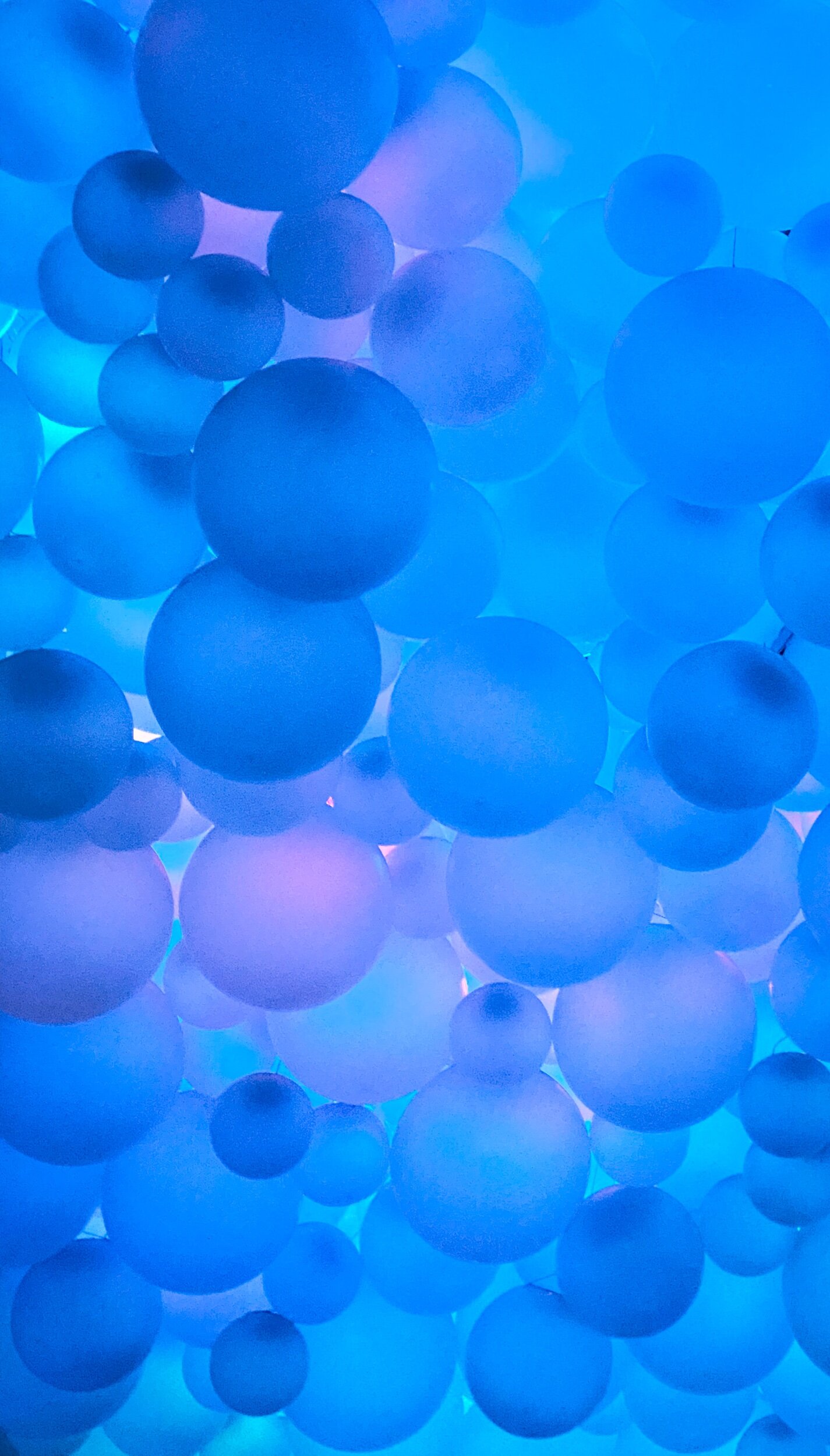 BAA0FA42-D27F-4EB4-891A-37867FE5360B