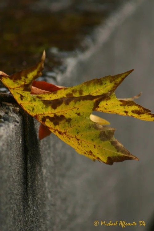 autumn.jpg