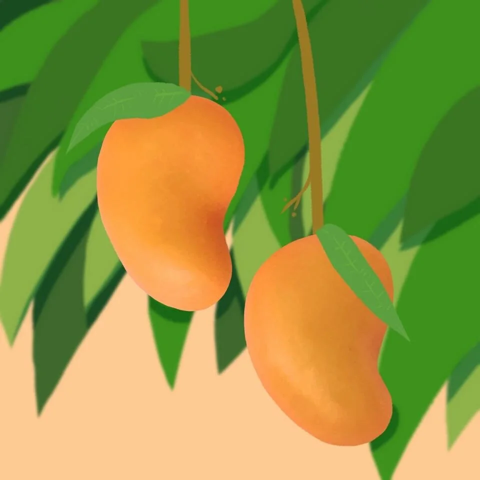 9B197BC2-131D-4FD3-9643-0B52BB16F5A2