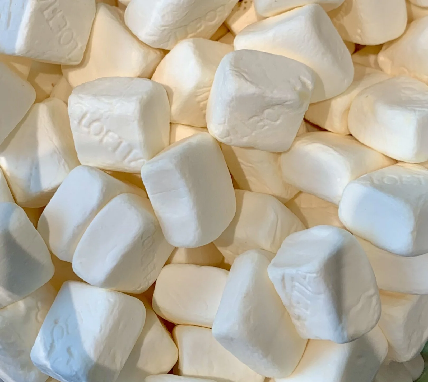 20265A28-75D8-4140-81E7-543295CC6B1E