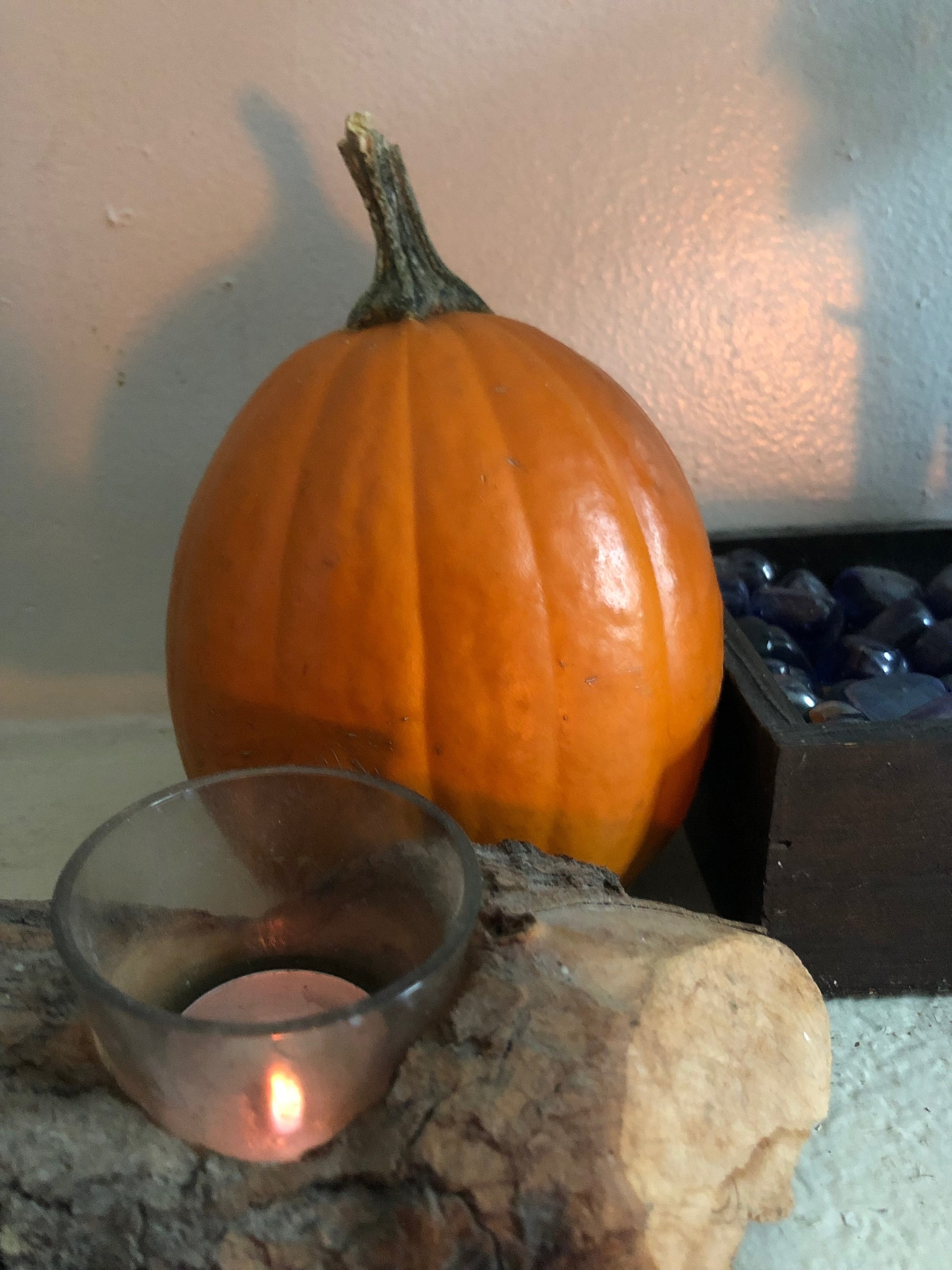 Hidden History and 4 Pumpkin Recipes for Zero Waste Lifestyle — Obscuram