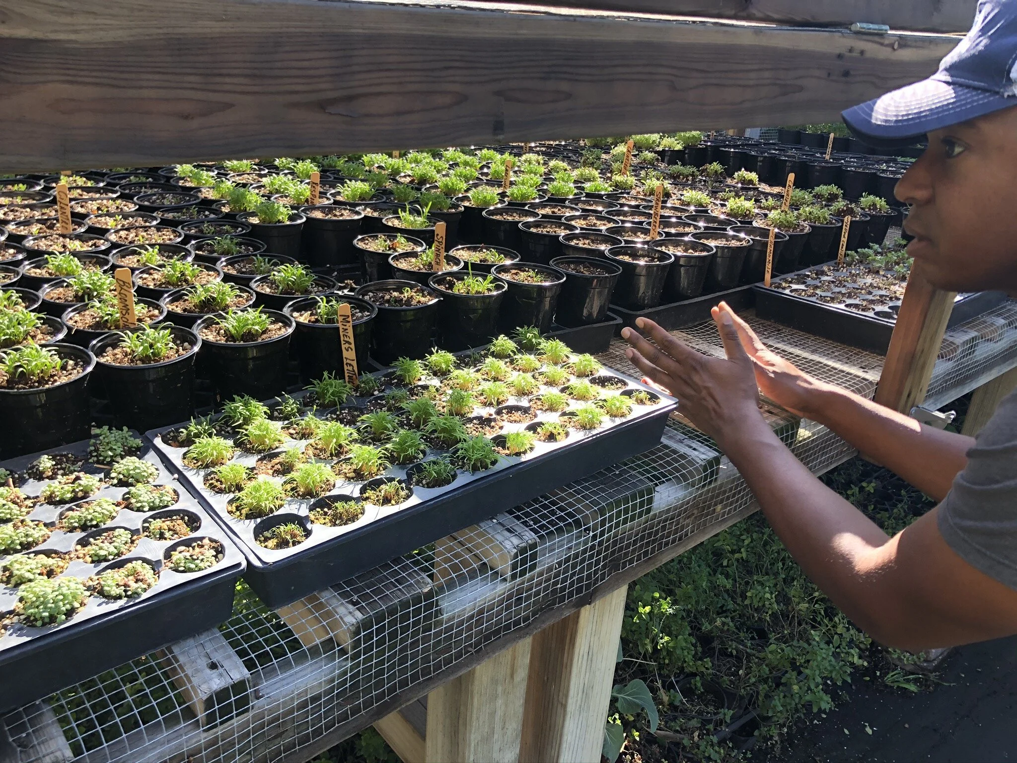 Logan's Gardens Shifting Culture One Plant at A Time — Obscuram