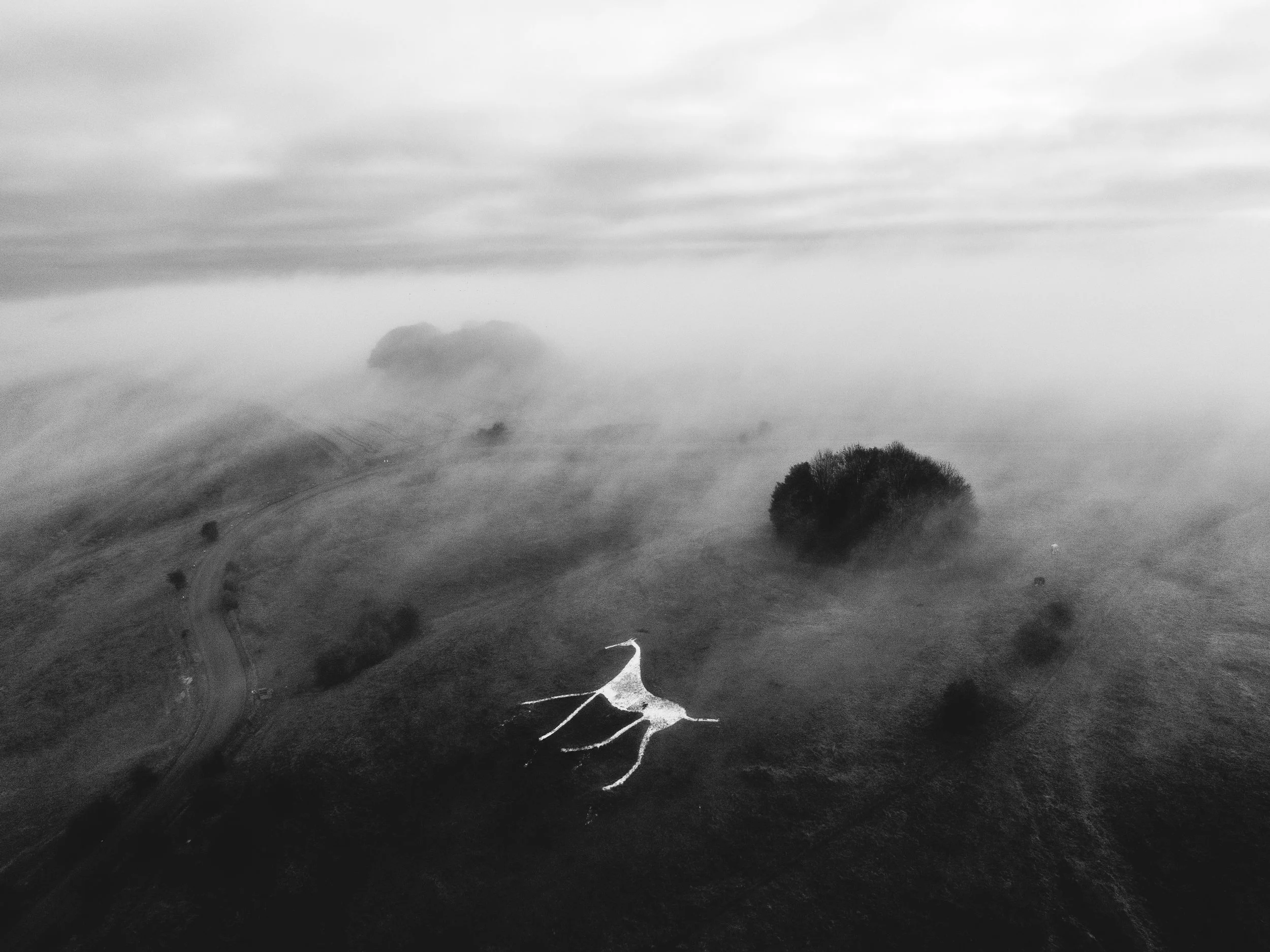 DJI_0140.jpg