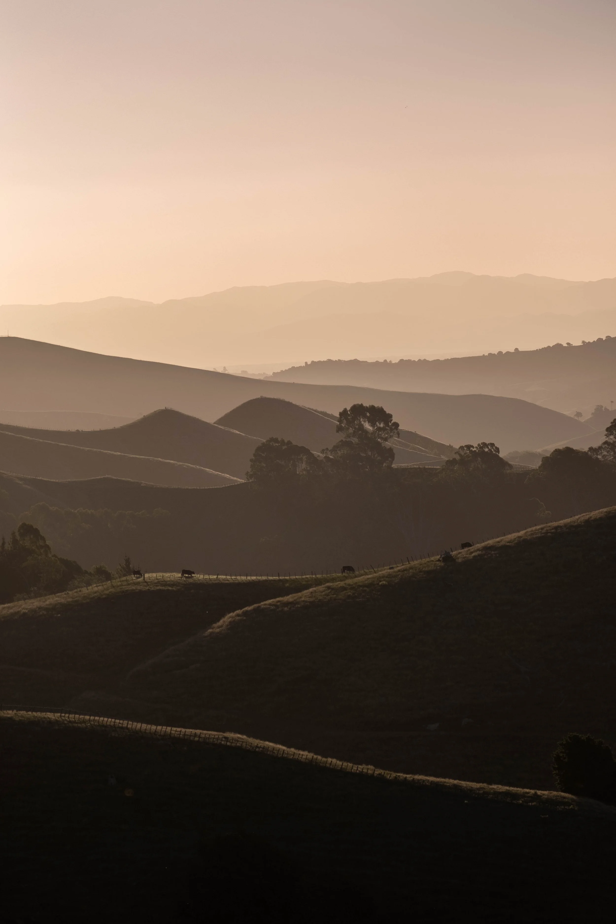 DSCF4647-HDR.jpg