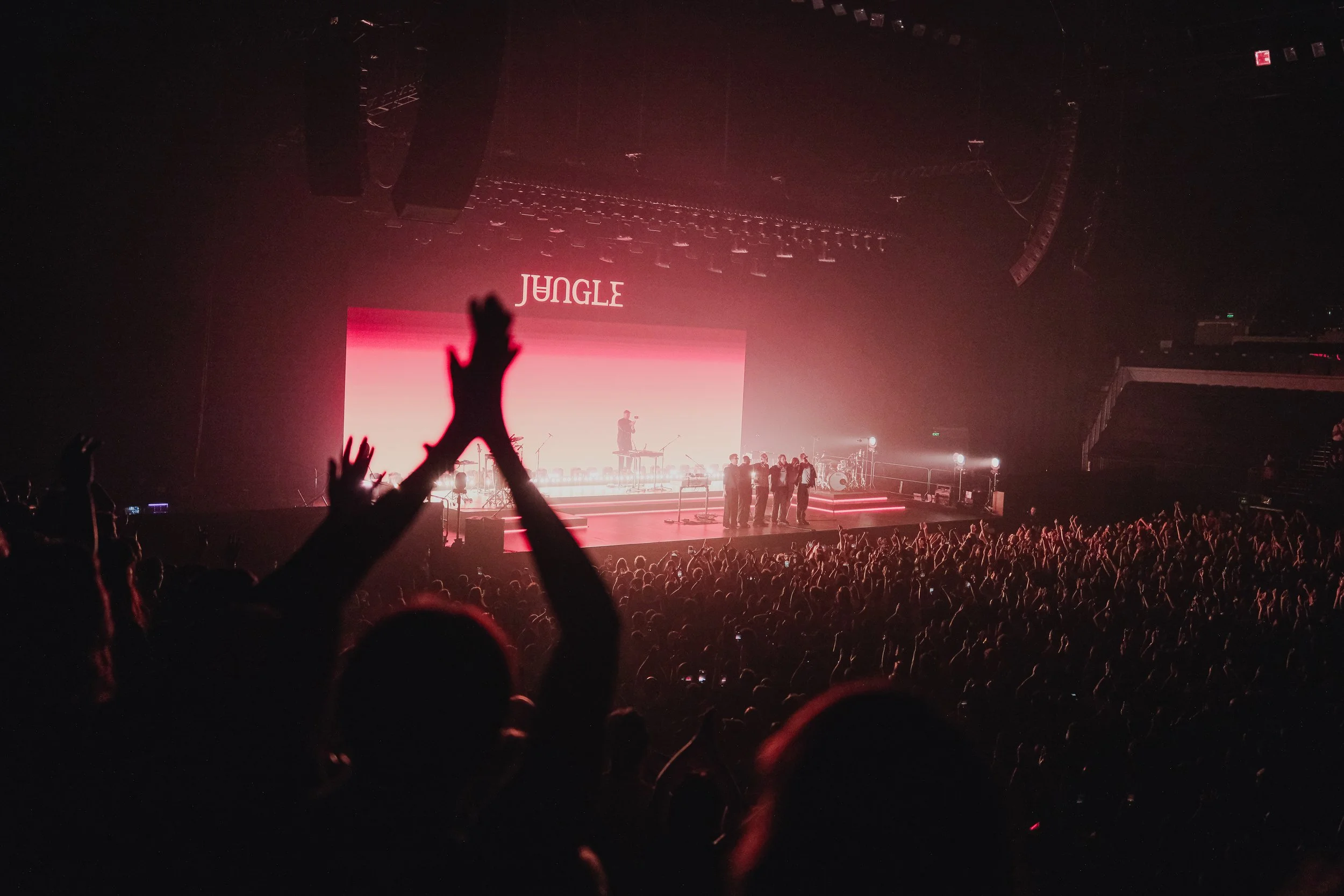 JUNGLE