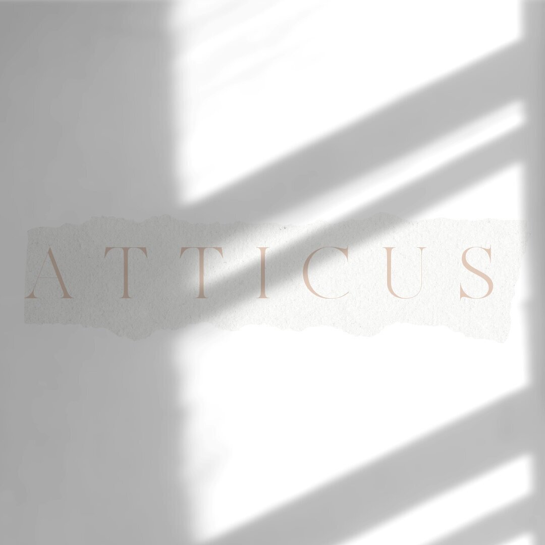 atticus2.jpg