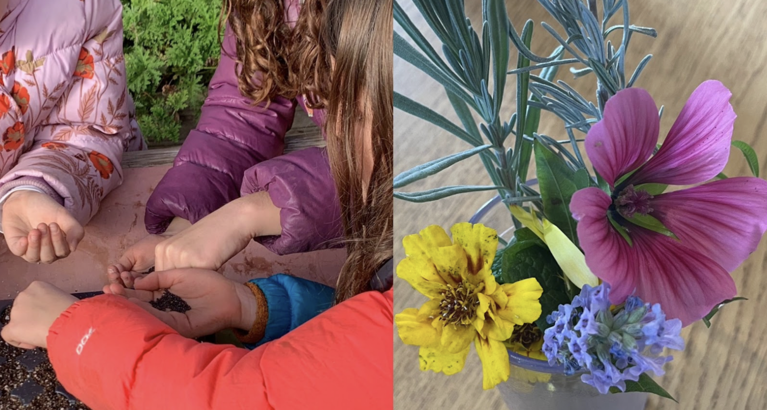 Mark-Antonio and Aisa Class Notes