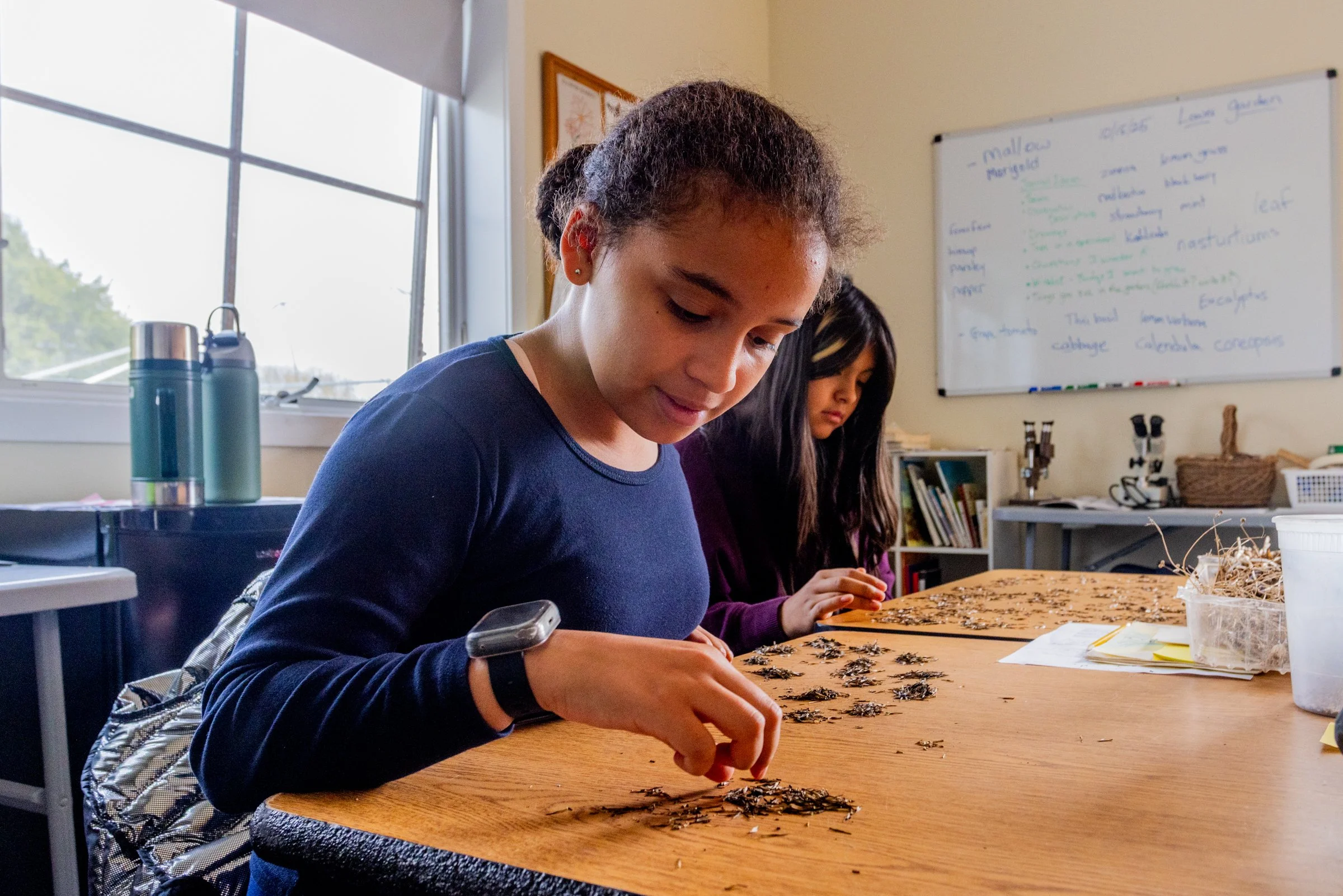 ©PHILIOPPE CHENG 2025.10.00058.jpg