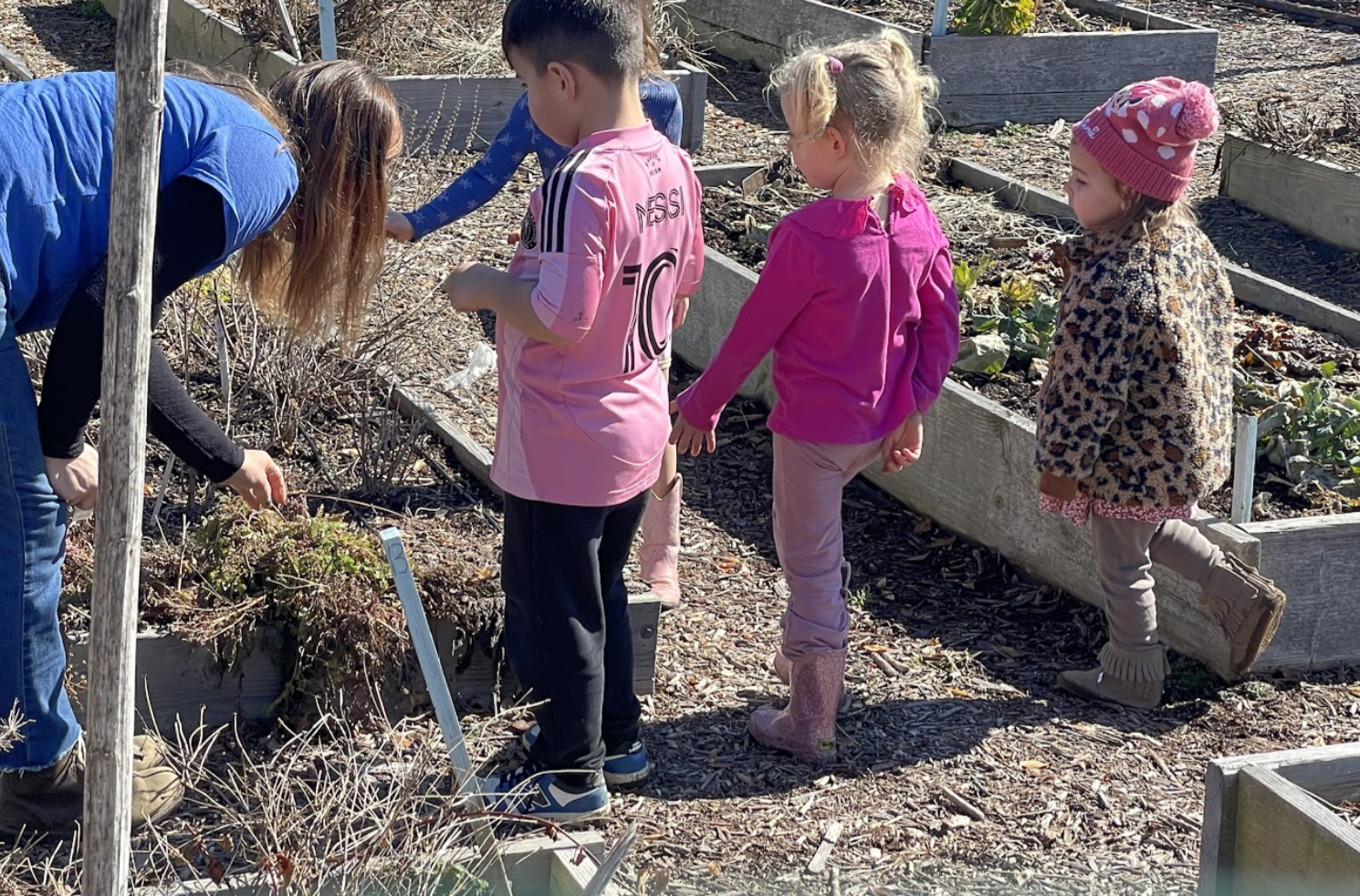 Mark-Antonio and Aisa's Class Notes