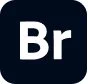 Adobe Bridge Icon