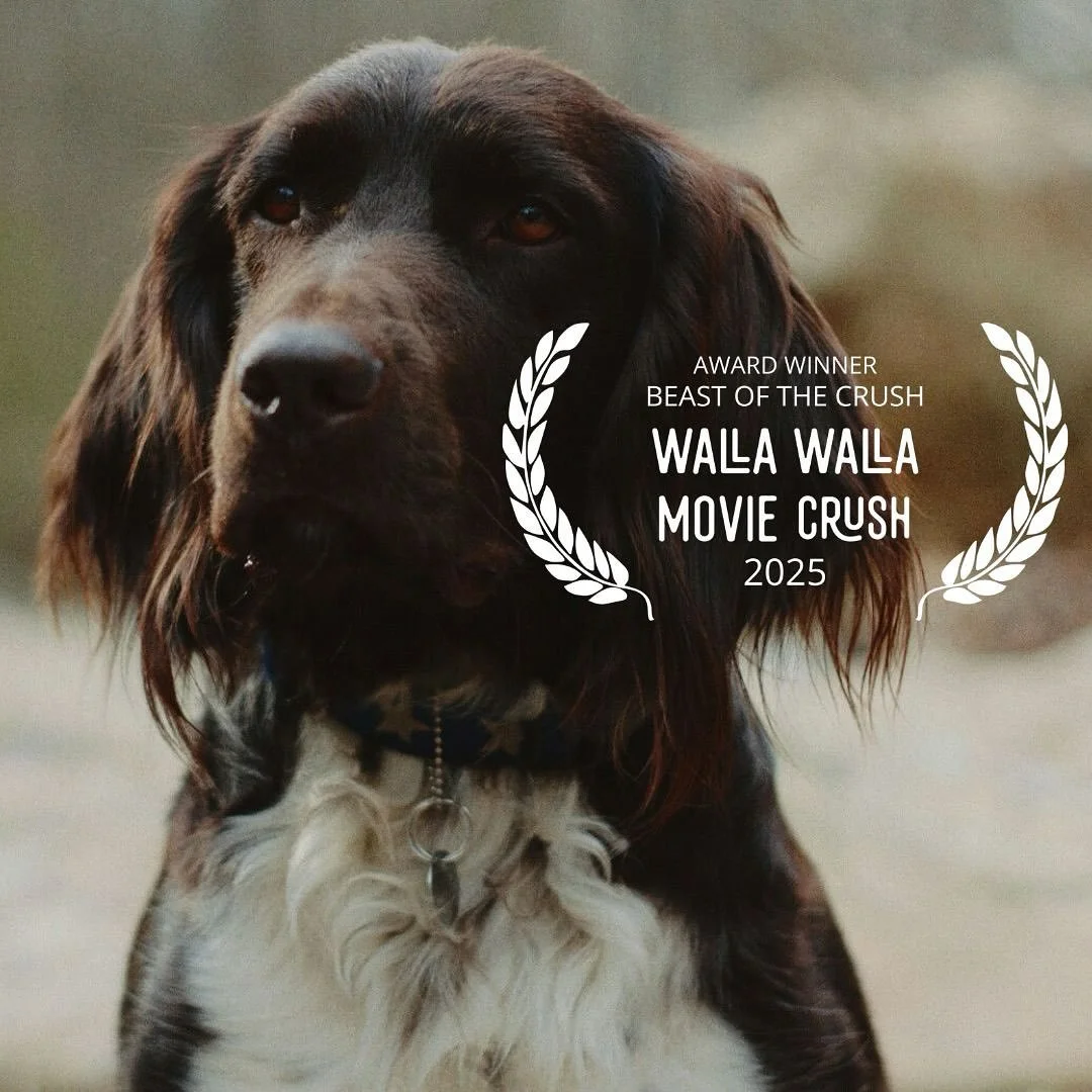 Nancy Dragun, the Executive Director and Co-founder of The Movie Crush takes great (and very territorial) pride in being the sole arbiter of which animal receives or annual Beast of the Crush Award. This year, dogs dominated the nominations although