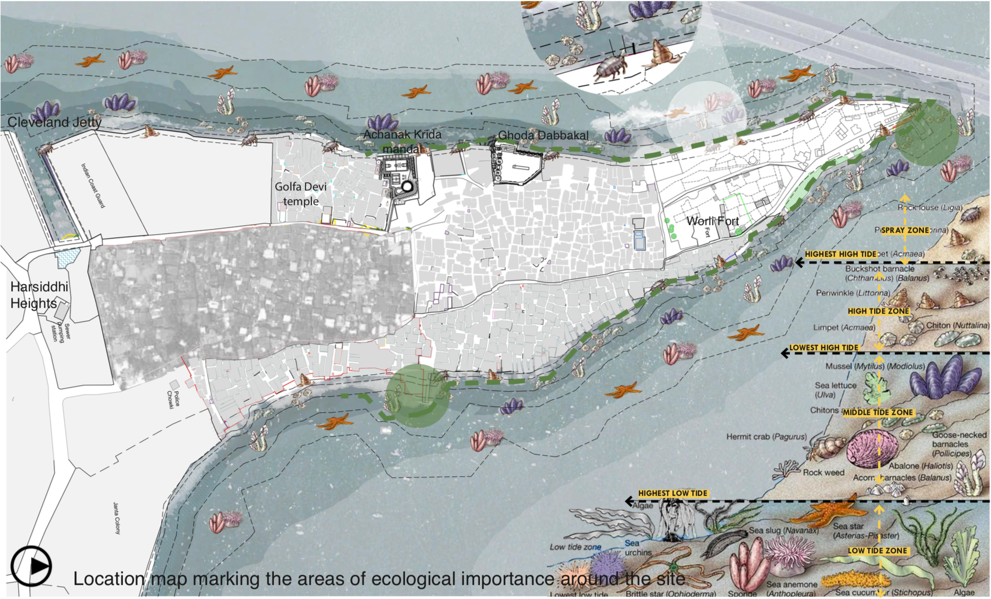 Biodiversity Corridor.png