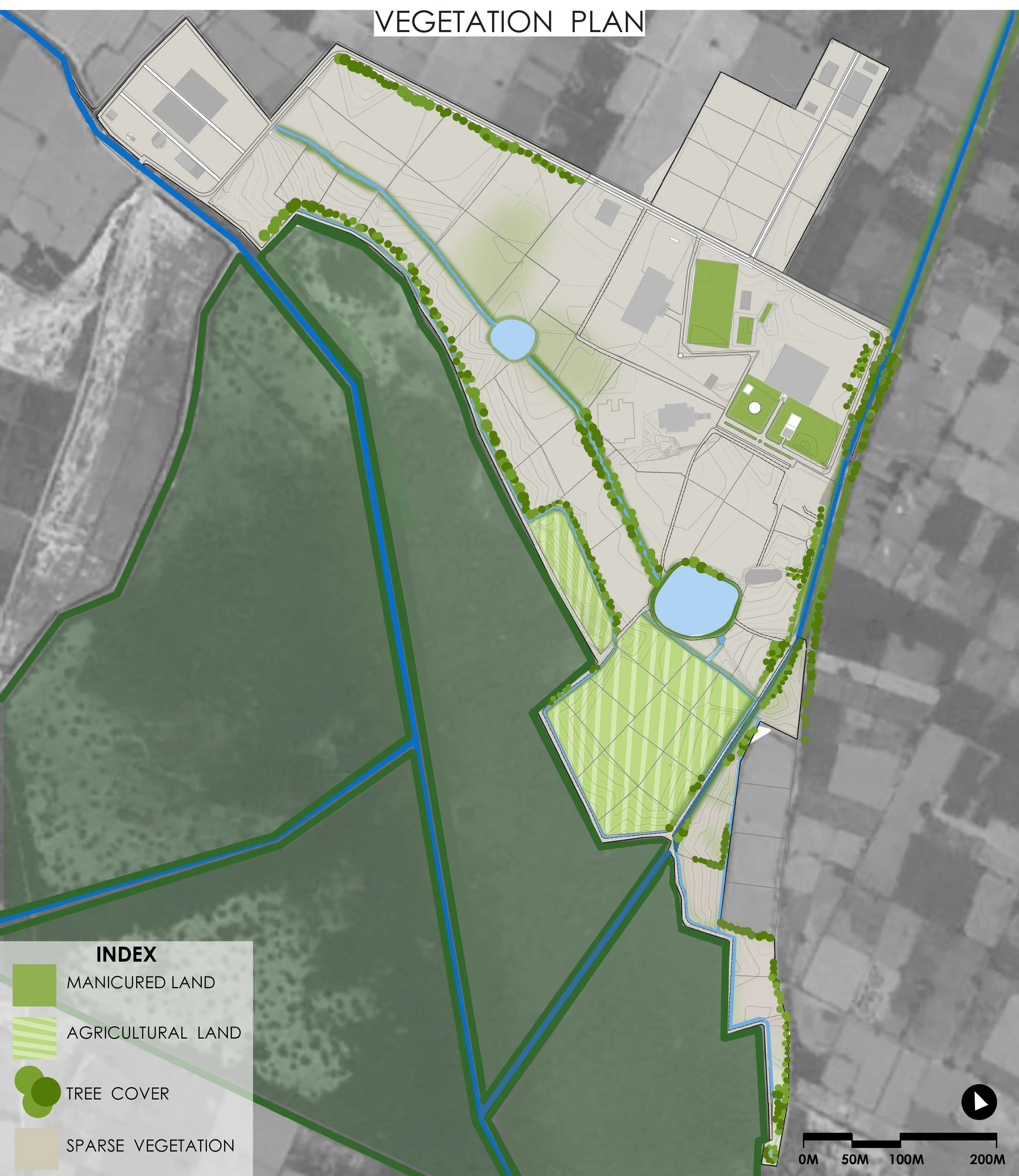 Vegetation Plan.jpg