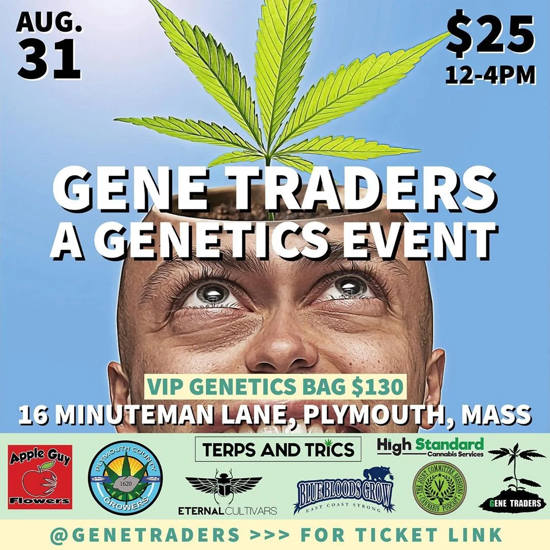 Instagram_genetraders_66437603_1087129298154769_1306807408523151207_n.jpg